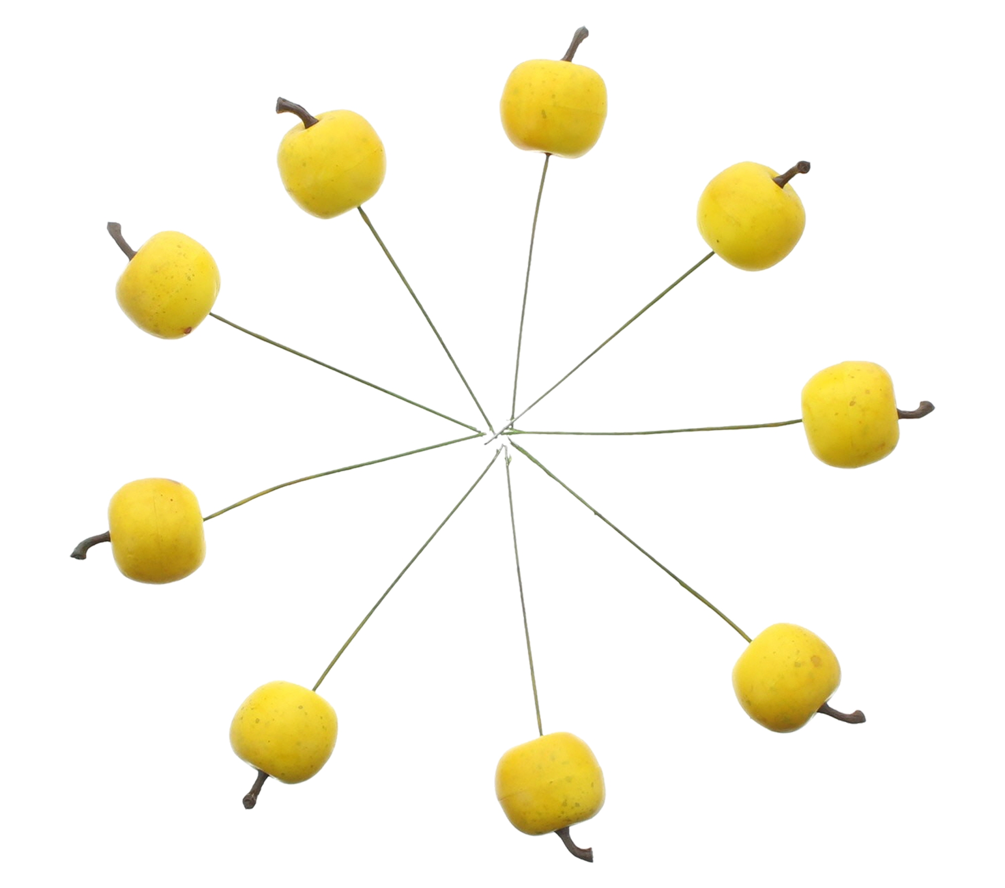 Mini-Apfel "Gelb", 24er Set im Frank Flechtwaren Online Shop für Herbst kaufen Mini-Apfel "Gelb", 24er Set im Frank Flechtwaren Online Shop für Herbst kaufen