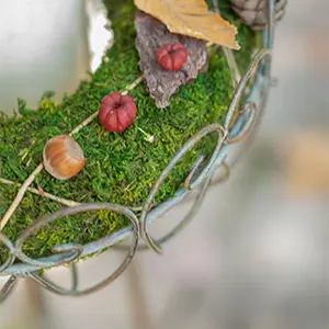 Herbst