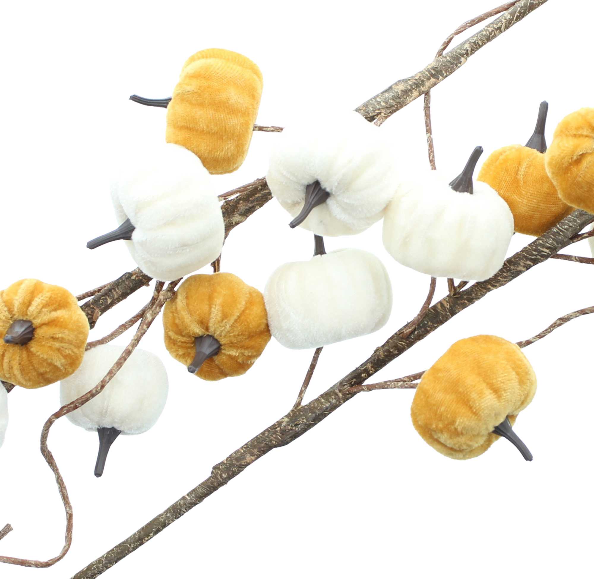 Zweig "Kürbisse", 2er Set im Frank Flechtwaren Online Shop für Herbst kaufen Zweig "Kürbisse", 2er Set im Frank Flechtwaren Online Shop für Herbst kaufen