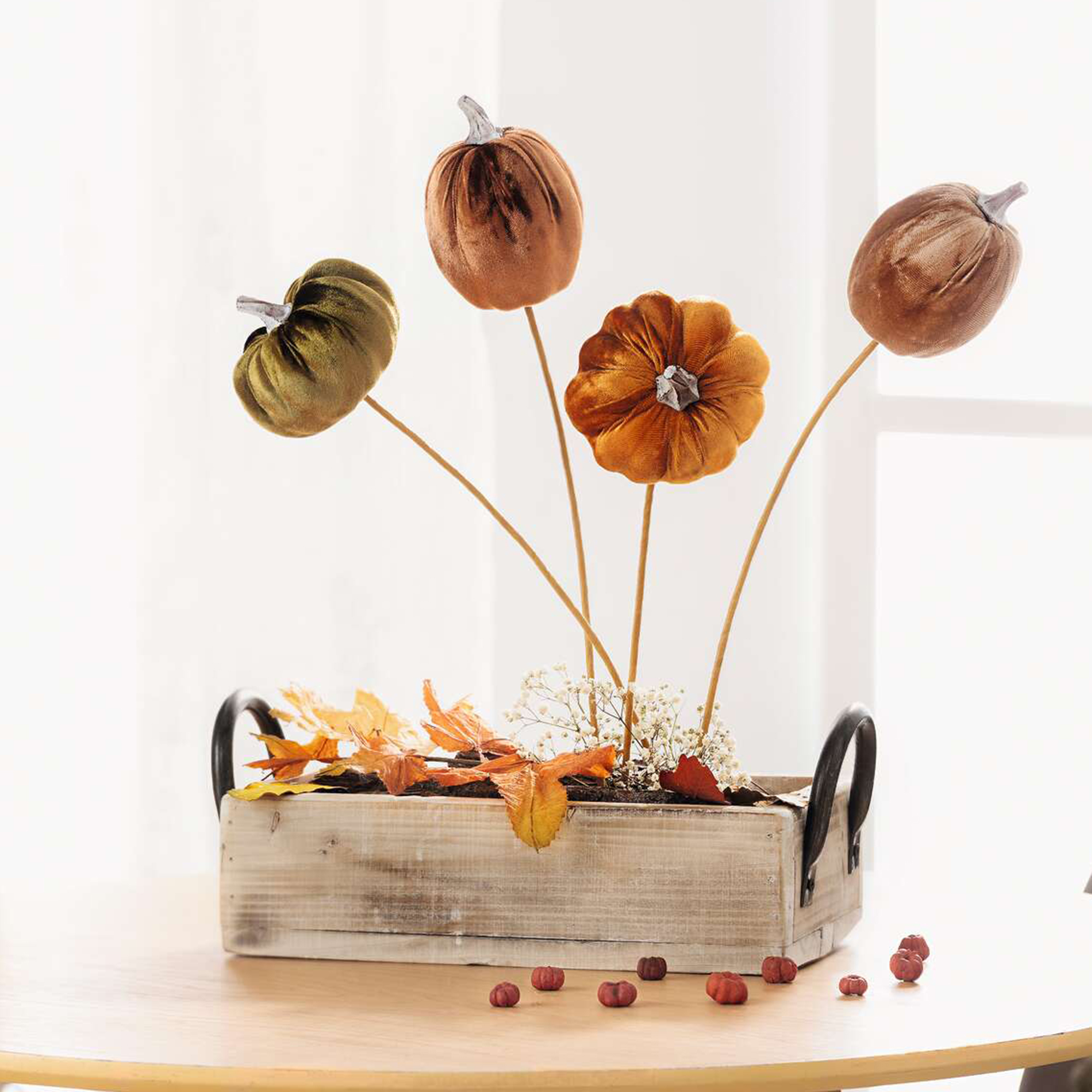 Stecker "Samtkürbis", 4er Set  im Frank Flechtwaren Online Shop kaufen