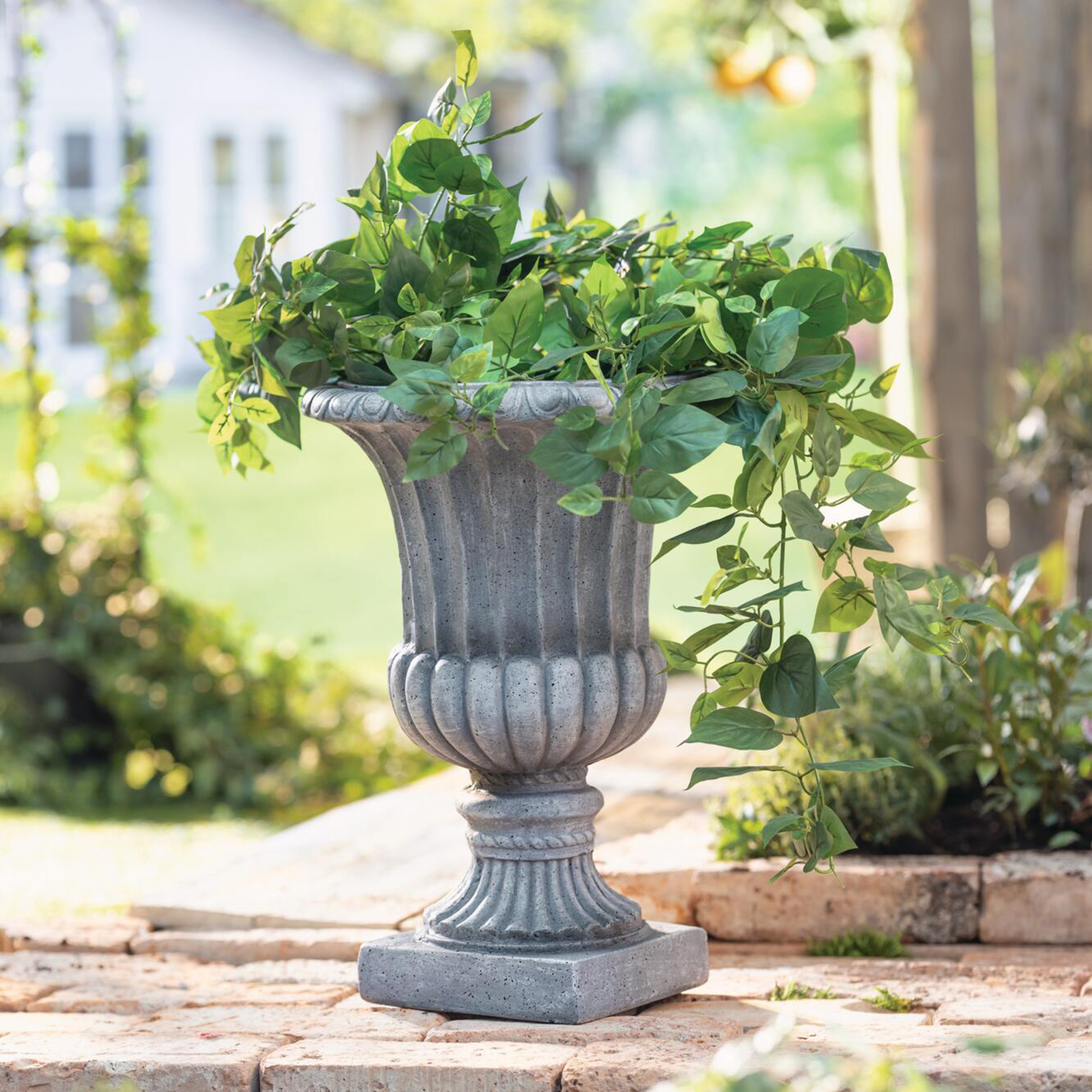 Pflanzer "Antiqua"  im Frank Flechtwaren Online Shop kaufen