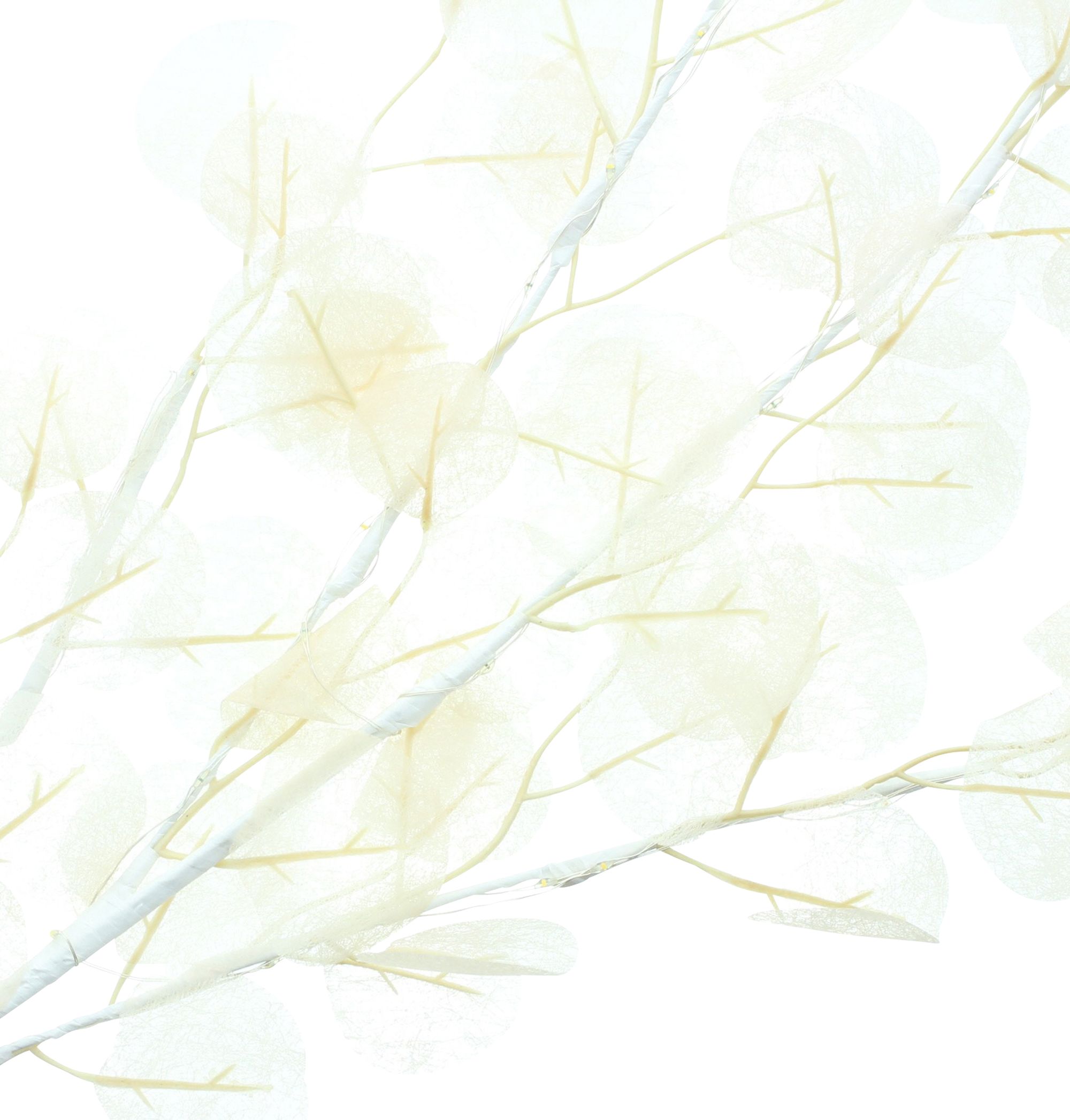 LED-Bündel "Soft Leaves" im Frank Flechtwaren Online Shop für Ostern kaufen LED-Bündel "Soft Leaves" im Frank Flechtwaren Online Shop für Ostern kaufen