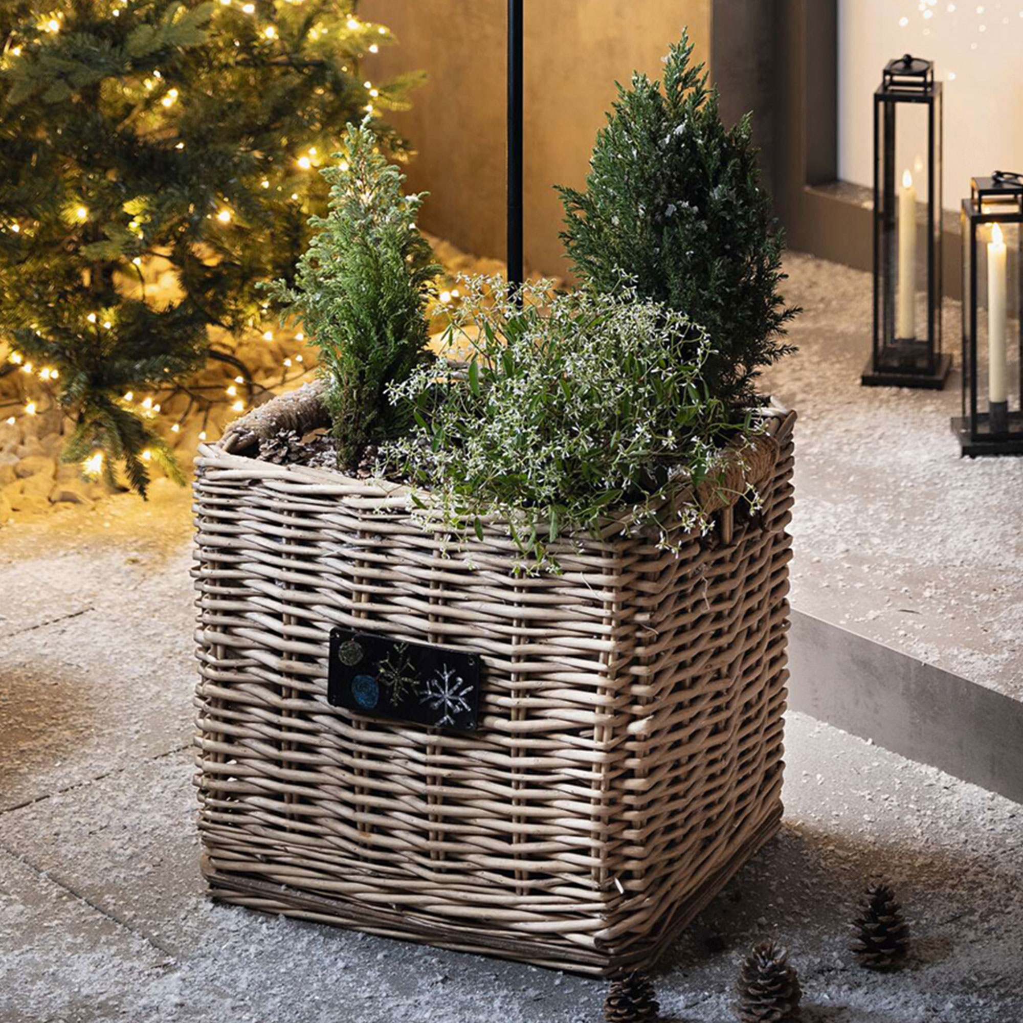 Pflanzkorb "Weiden-Chic", 2er Set  im Frank Flechtwaren Online Shop kaufen