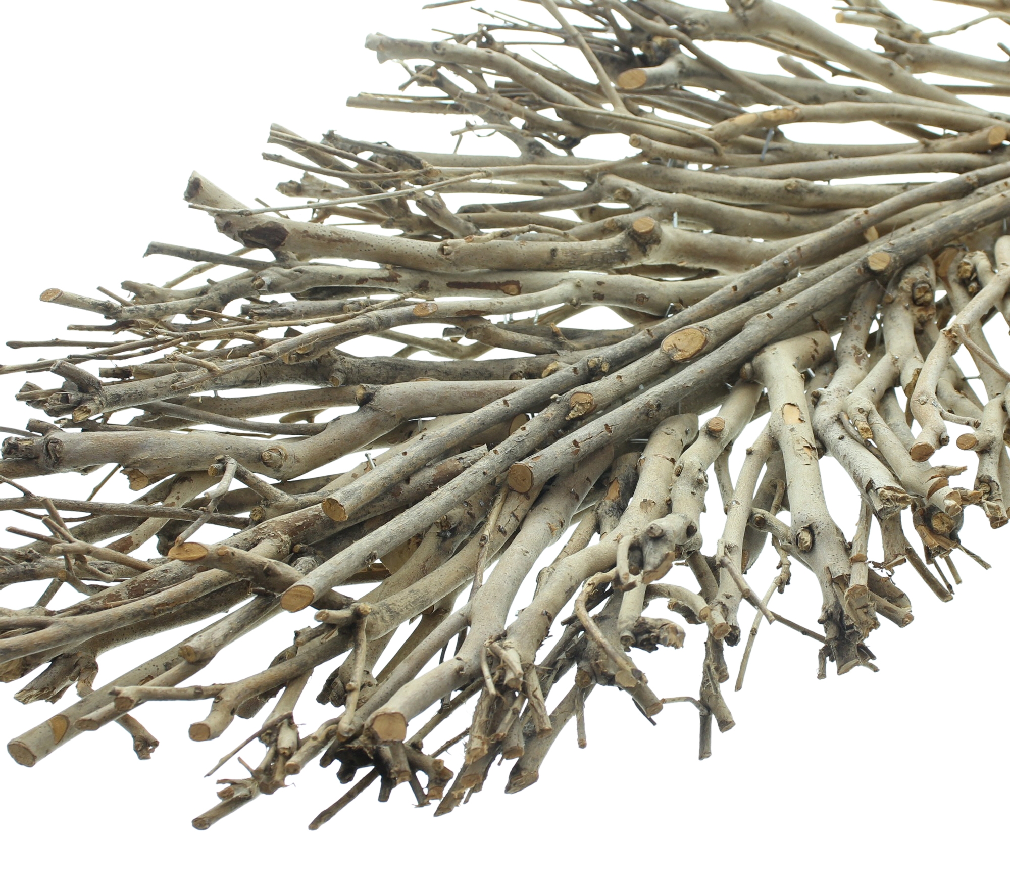 Dekoblatt "Verzweigt"  im Frank Flechtwaren Online Shop für Titelserie Herbst/Winter kaufen