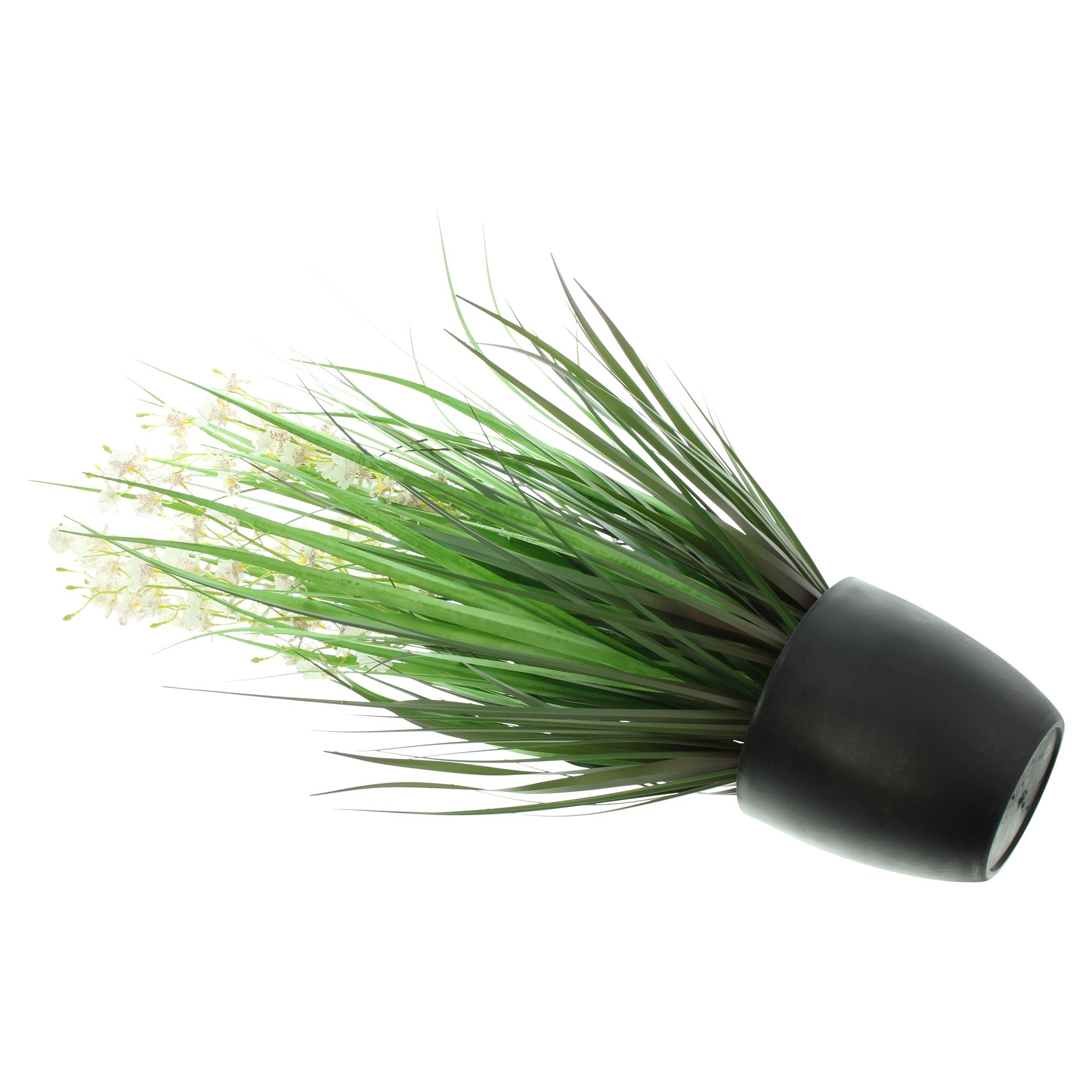 Topfpflanze "Dancing Orchid"  im Frank Flechtwaren Online Shop für Kunstpflanzen kaufen