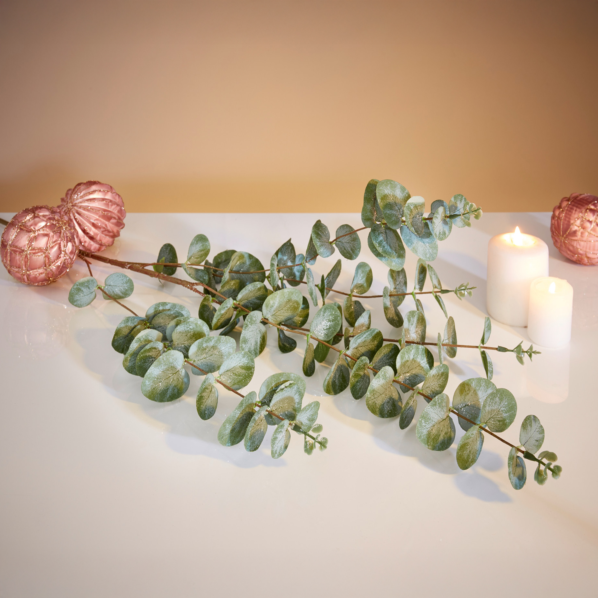 Zweig "Eukalyptus", 2er Set  im Frank Flechtwaren Online Shop kaufen