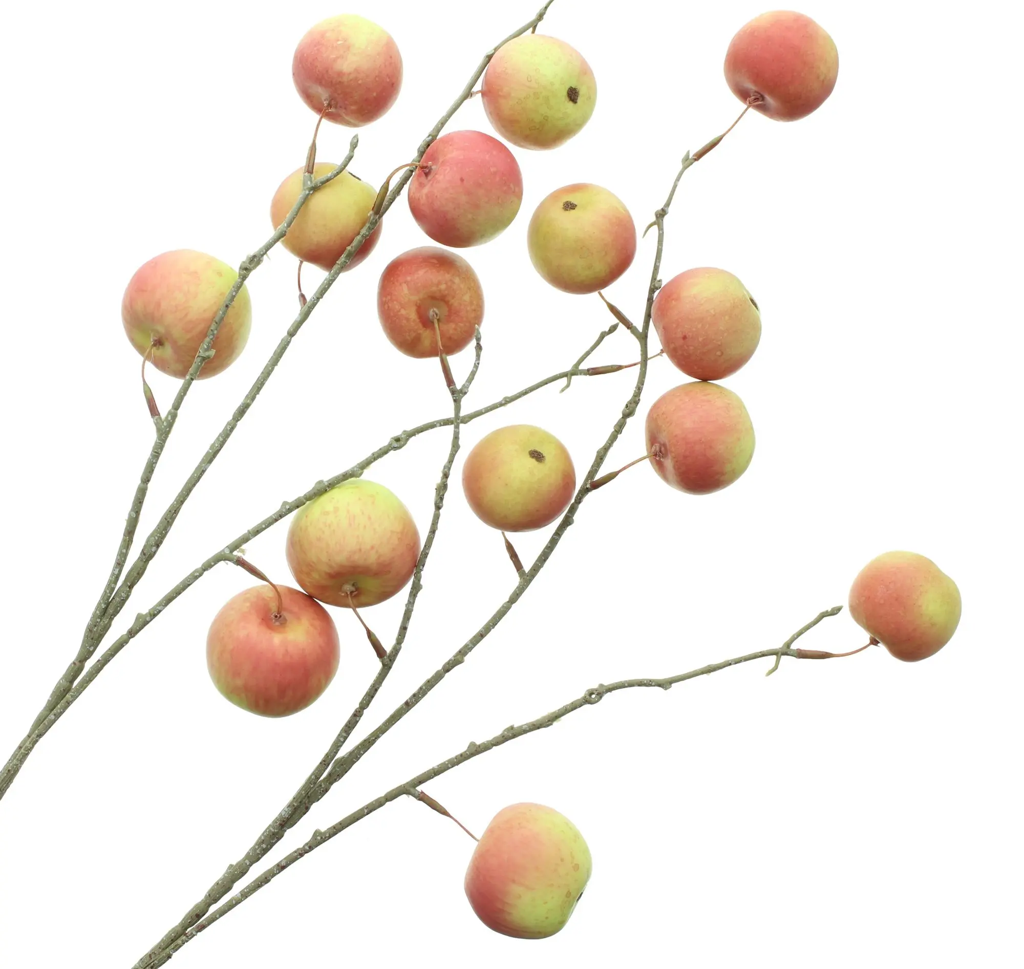 Kunstzweig "Apfel", 2er Set  im Frank Flechtwaren Online Shop für Waldspaziergang kaufen