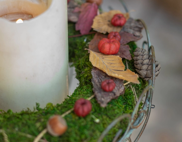 Herbstdeko: Kranz mit Moos, roten Zierkürbissen, Blättern und Tannenzapfen als Tischdekoration