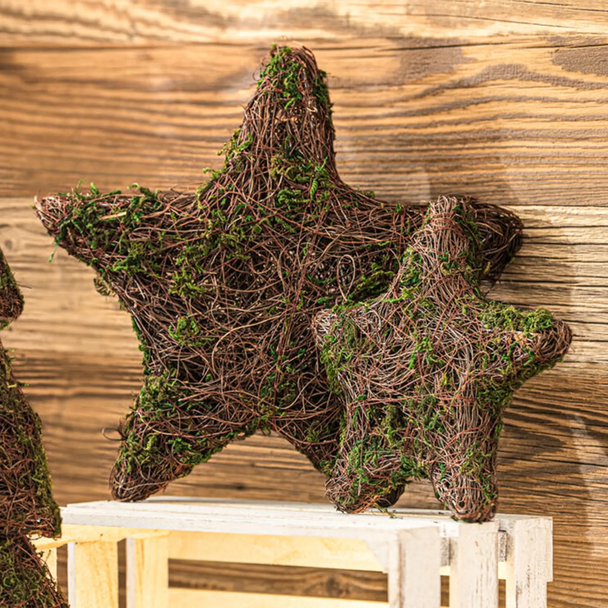 Stern "Moos", 2er Set  im Frank Flechtwaren Online Shop kaufen