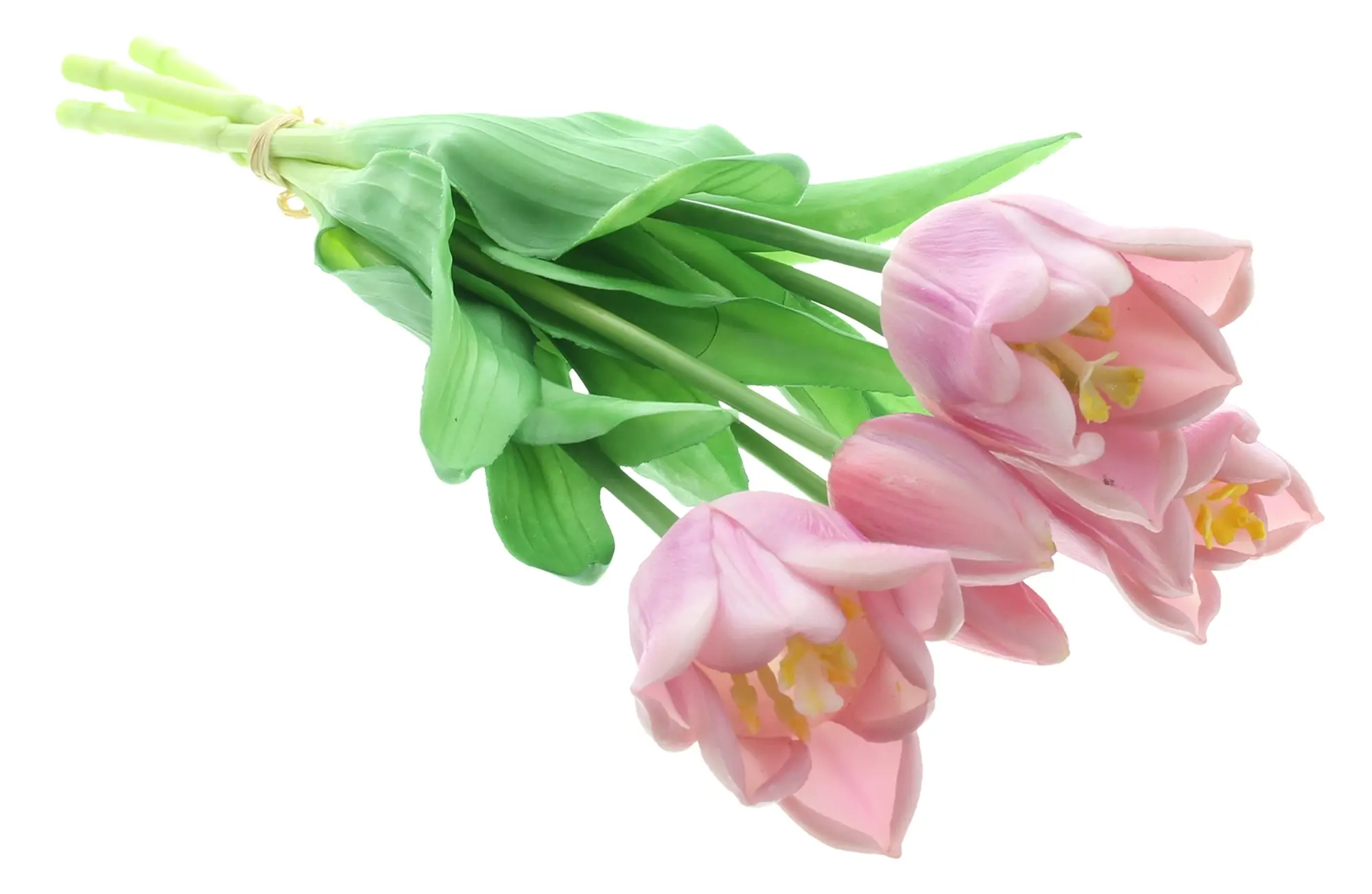 Tulpe "Lila", 5er Set  im Frank Flechtwaren Online Shop für Gerade eingetroffen kaufen