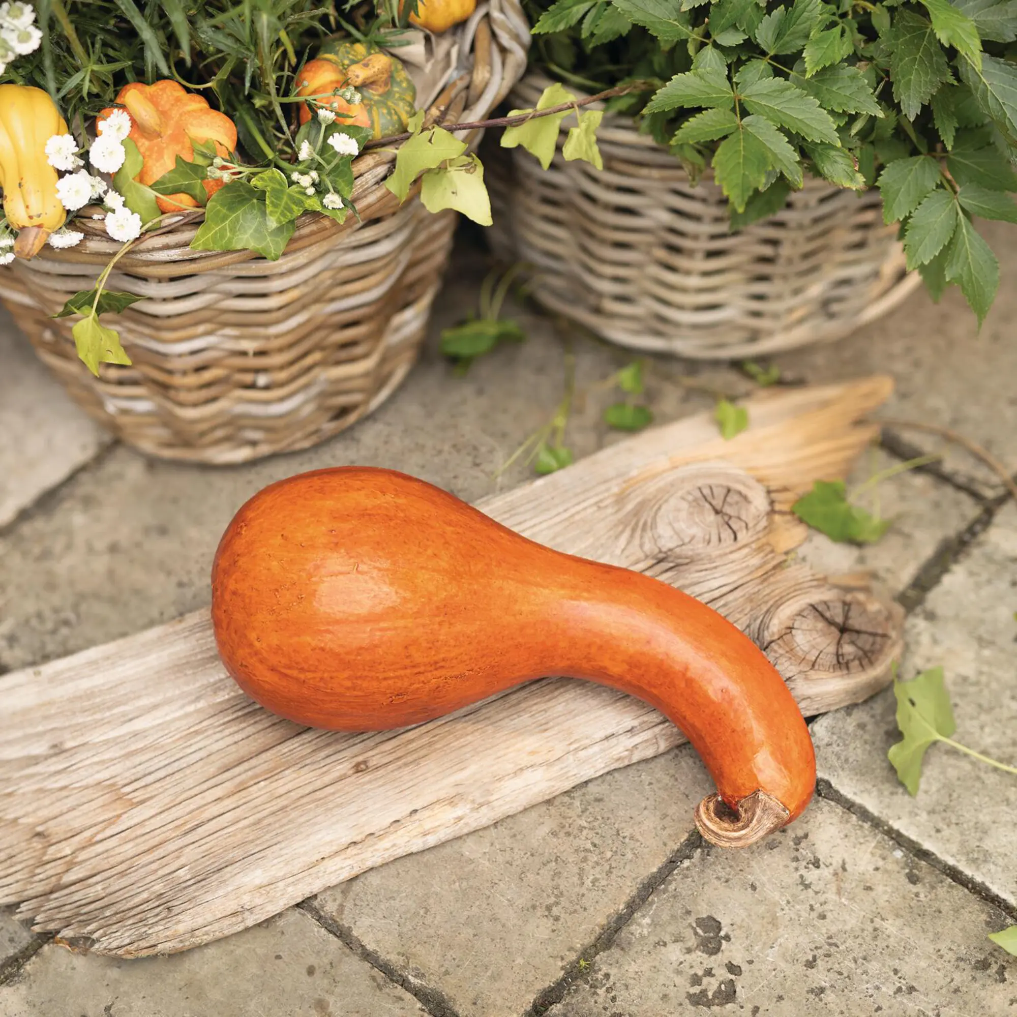 Deko-Kürbis "Orange"  im Frank Flechtwaren Online Shop kaufen