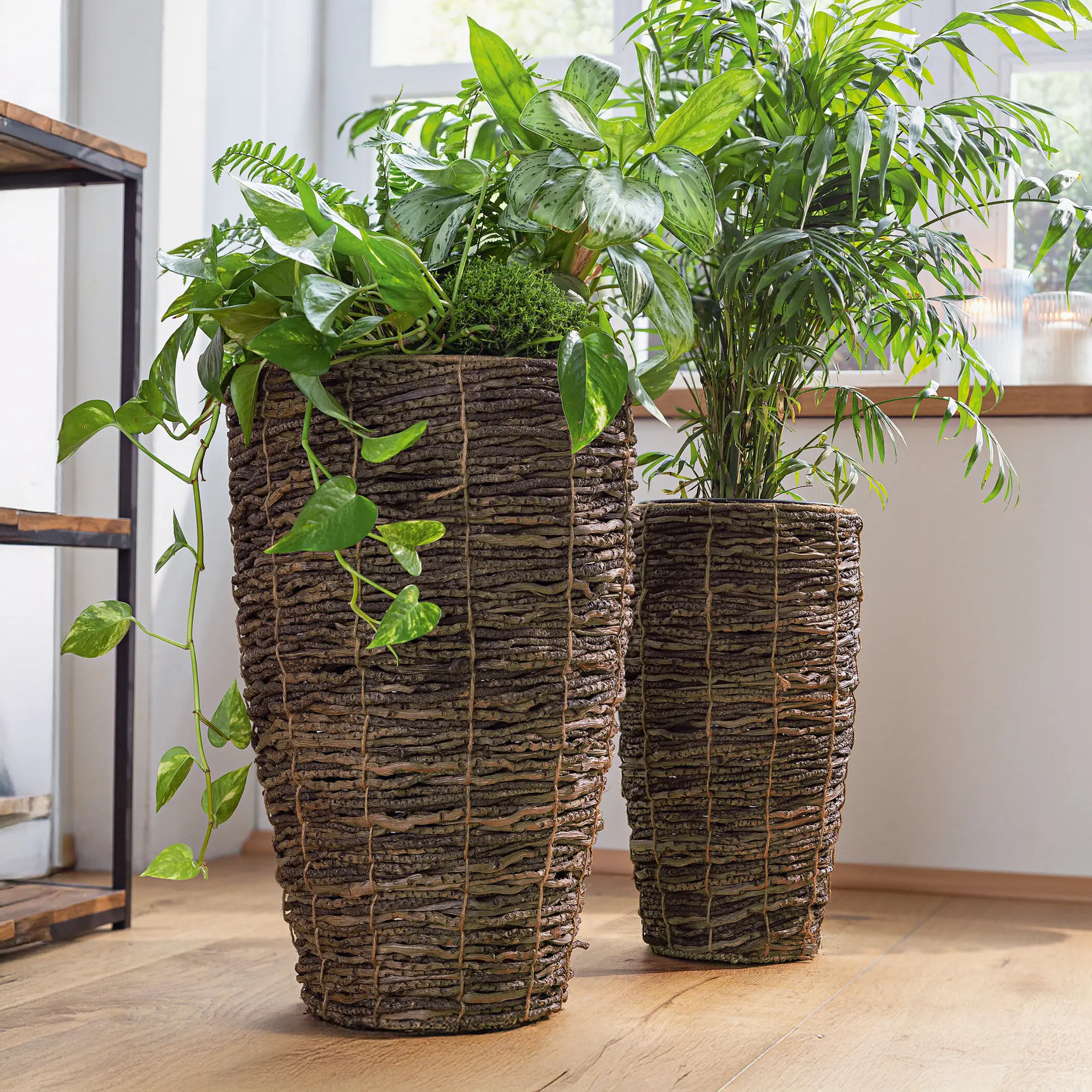 Übertopf "Coconut", 2er Set  im Frank Flechtwaren Online Shop kaufen