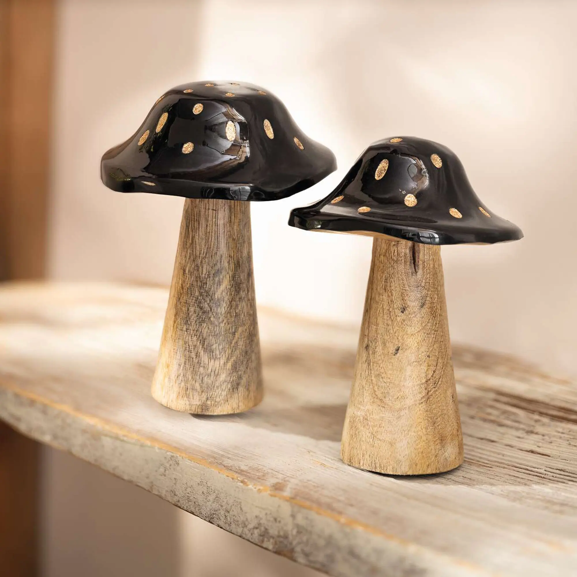 Pilz "Blacky", 2er Set  im Frank Flechtwaren Online Shop kaufen