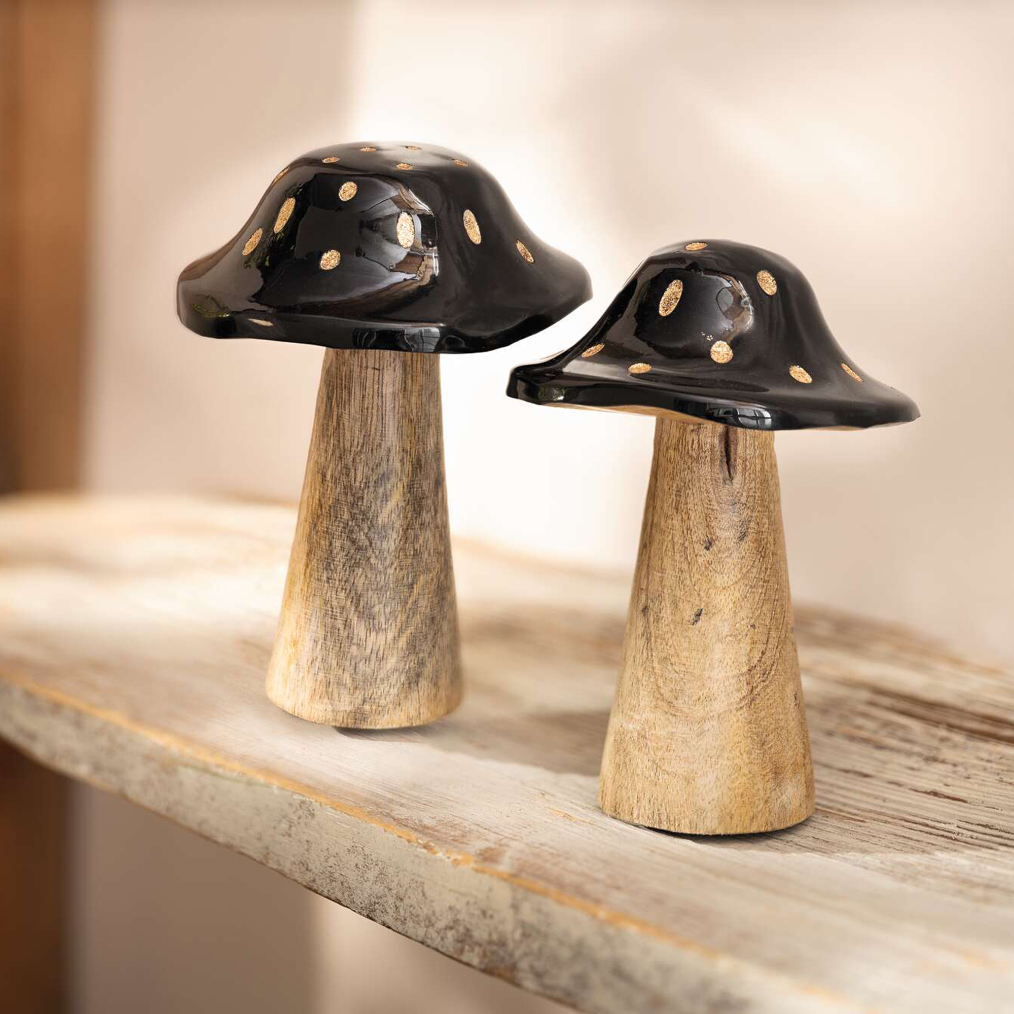 Pilz "Blacky", 2er Set  im Frank Flechtwaren Online Shop kaufen