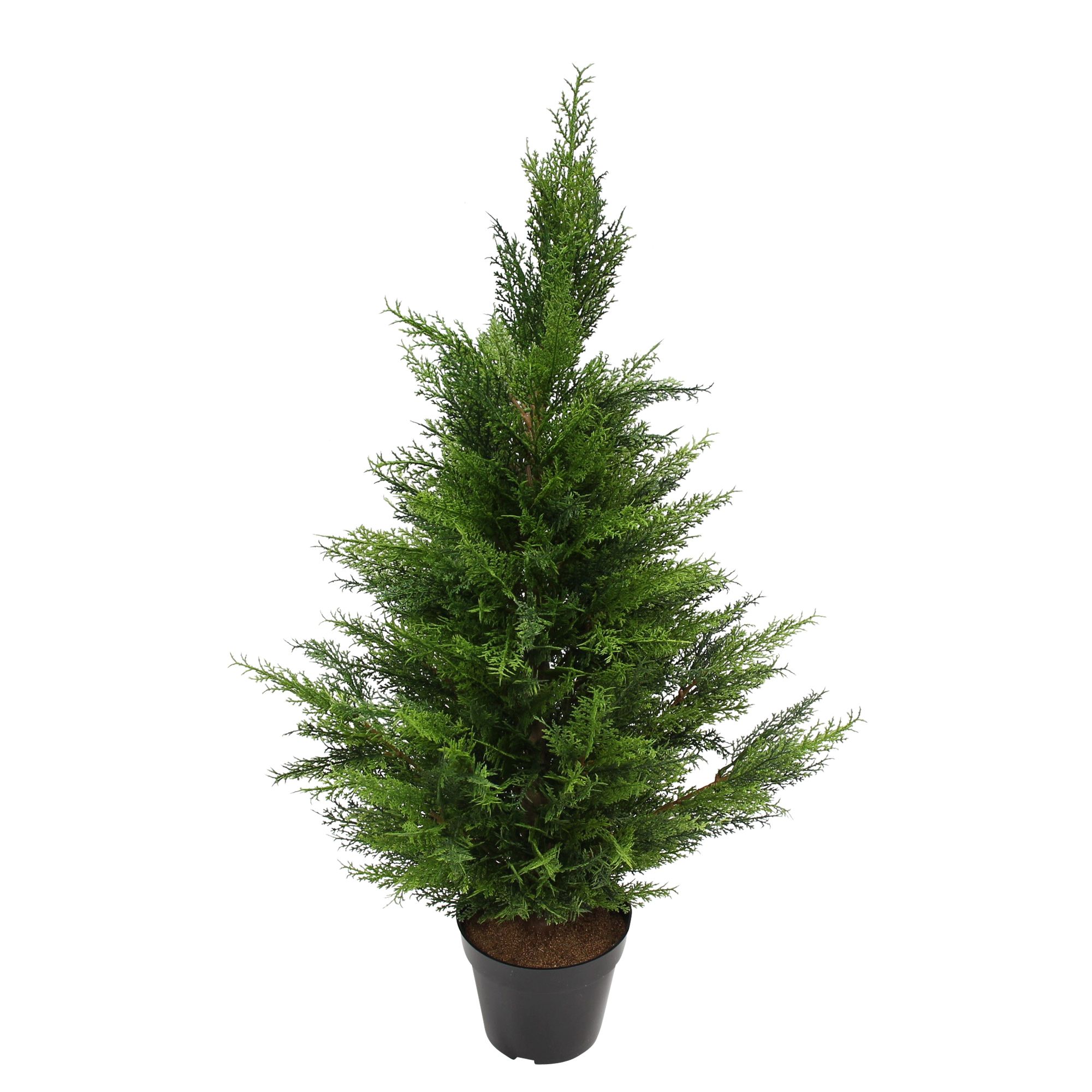 Kunstpflanze "Konifere"  im Frank Flechtwaren Online Shop für Kunstpflanzen kaufen