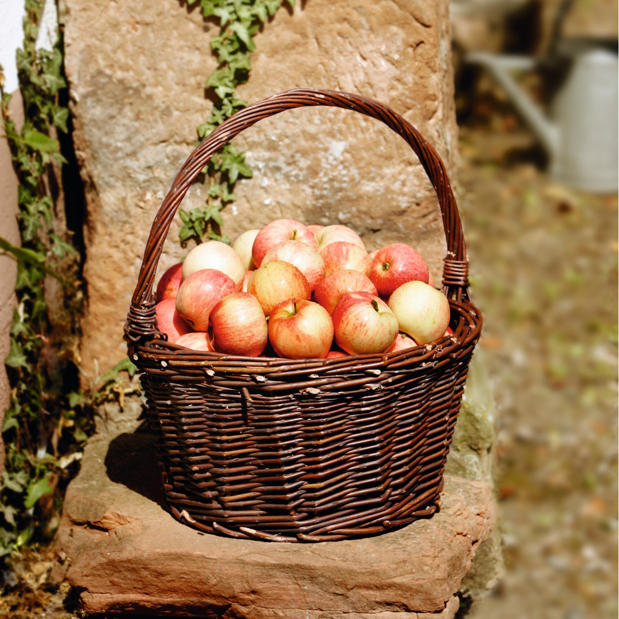 Acheter Panier à anse "récolte"  dans la boutique en ligne de Frank Flechtwaren