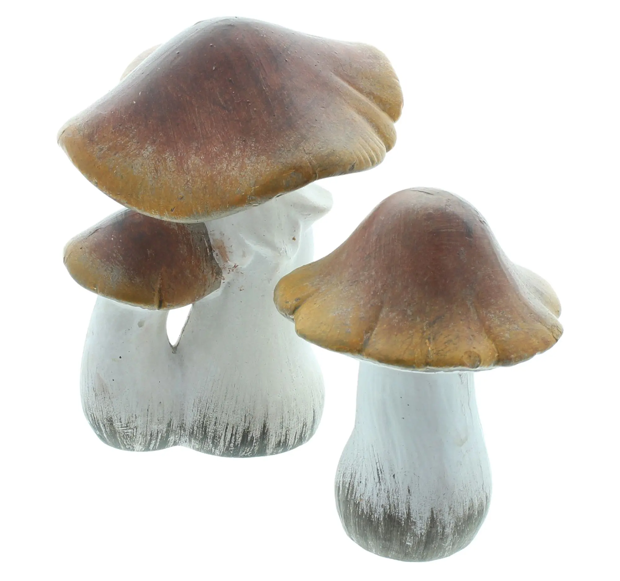 Deko-Pilz "Brownie", 2er Set  im Frank Flechtwaren Online Shop für Dekopilze kaufen