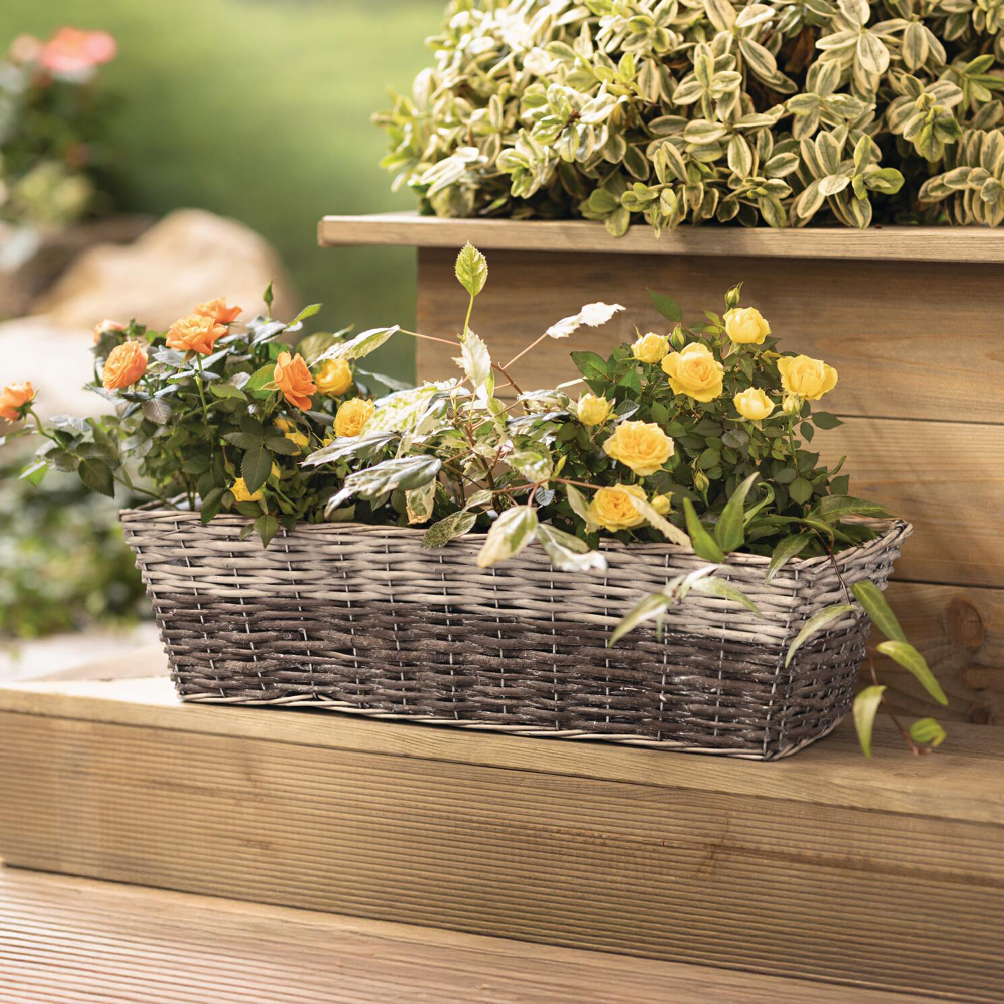 Pflanzer "Graue Weide"  im Frank Flechtwaren Online Shop kaufen