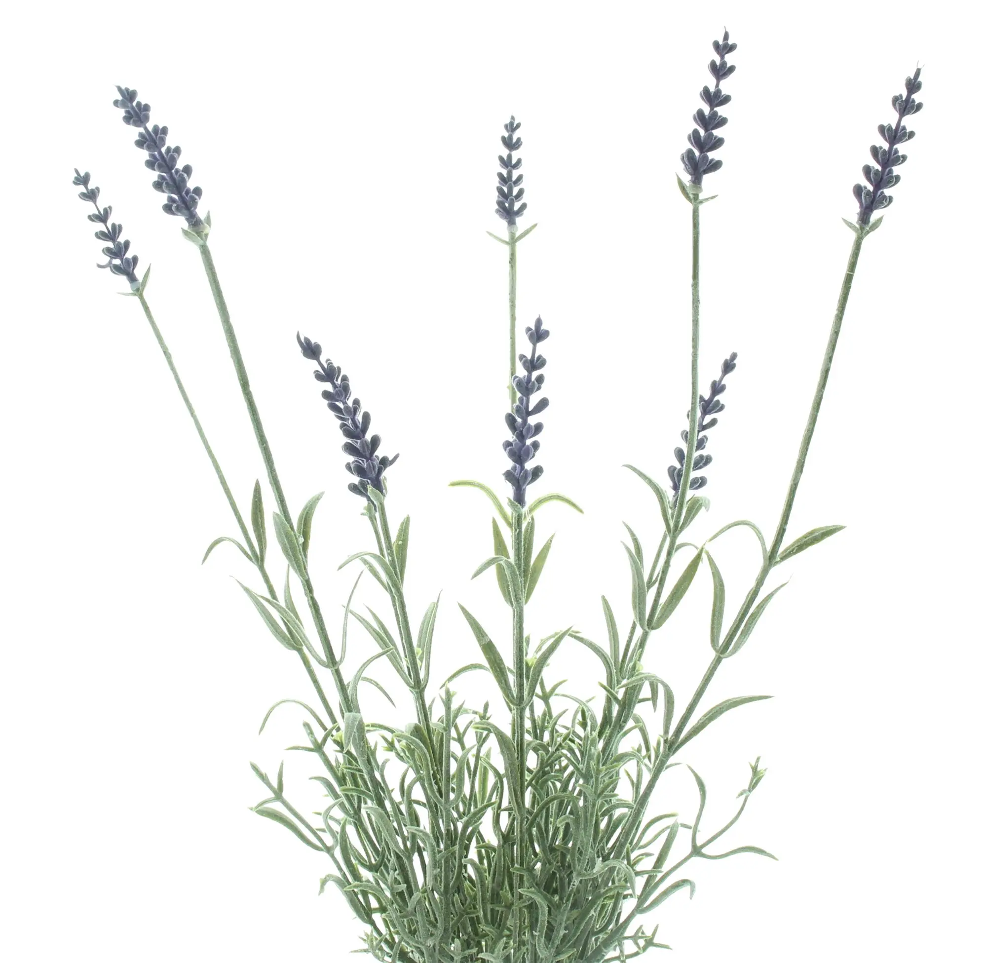 Kunstblume "Lavendelzweig"  im Frank Flechtwaren Online Shop für Lemon Sorbet kaufen