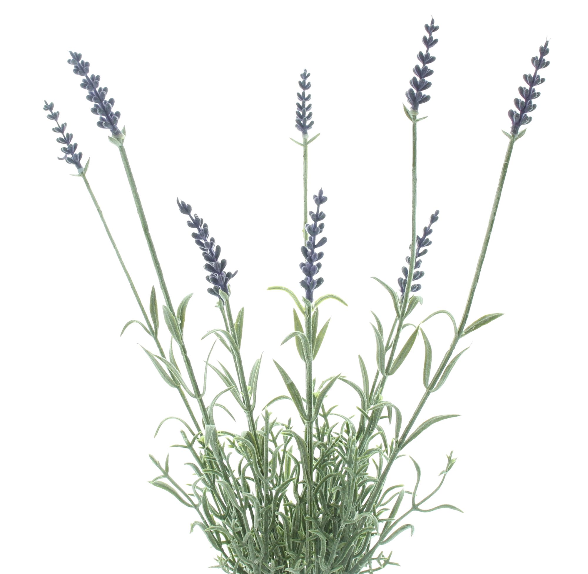 Kunstblume "Lavendelzweig"  im Frank Flechtwaren Online Shop für Gerade eingetroffen kaufen