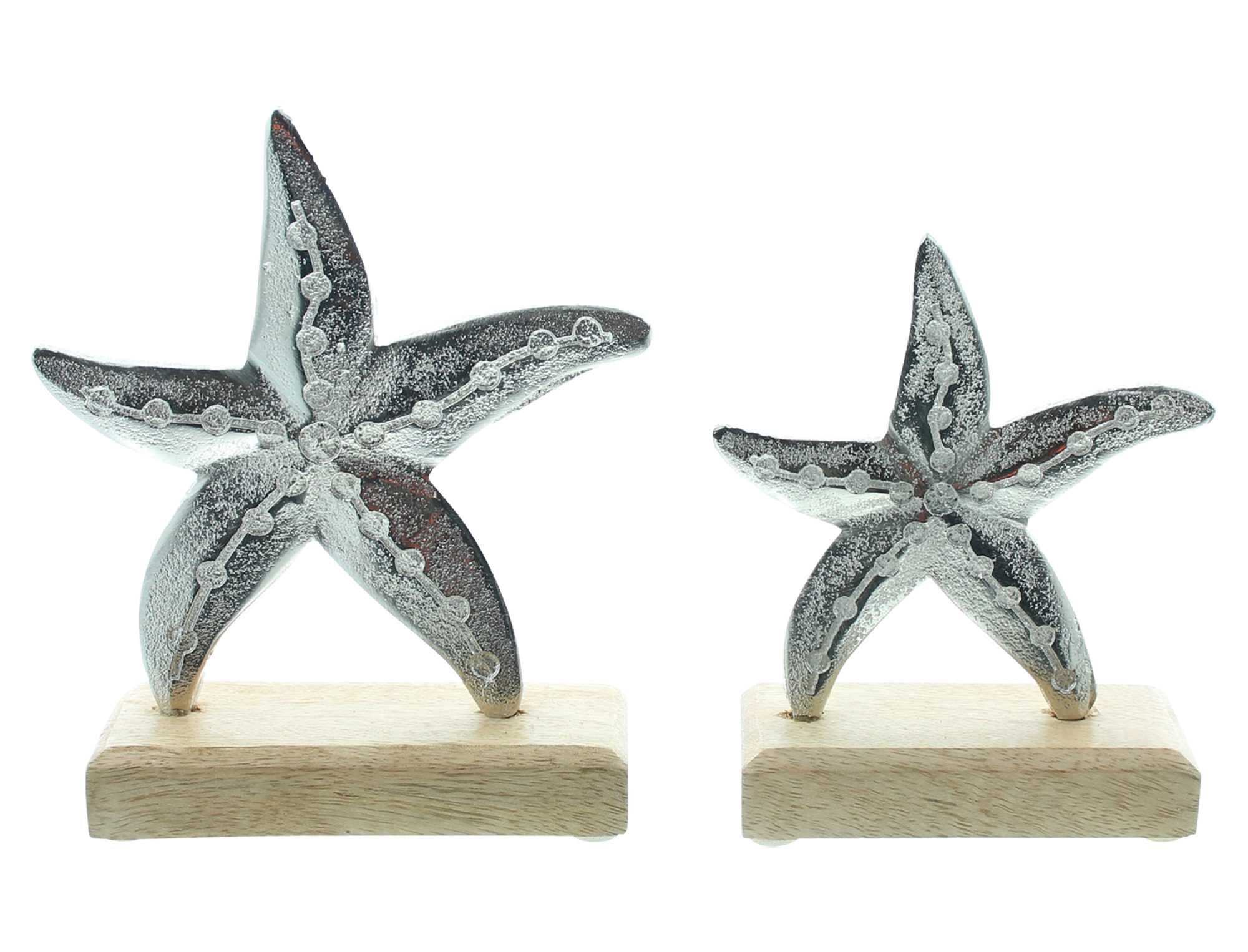 Holzdeko "Seestern", 2er Set im Frank Flechtwaren Online Shop für Dekofiguren kaufen Holzdeko "Seestern", 2er Set im Frank Flechtwaren Online Shop für Dekofiguren kaufen