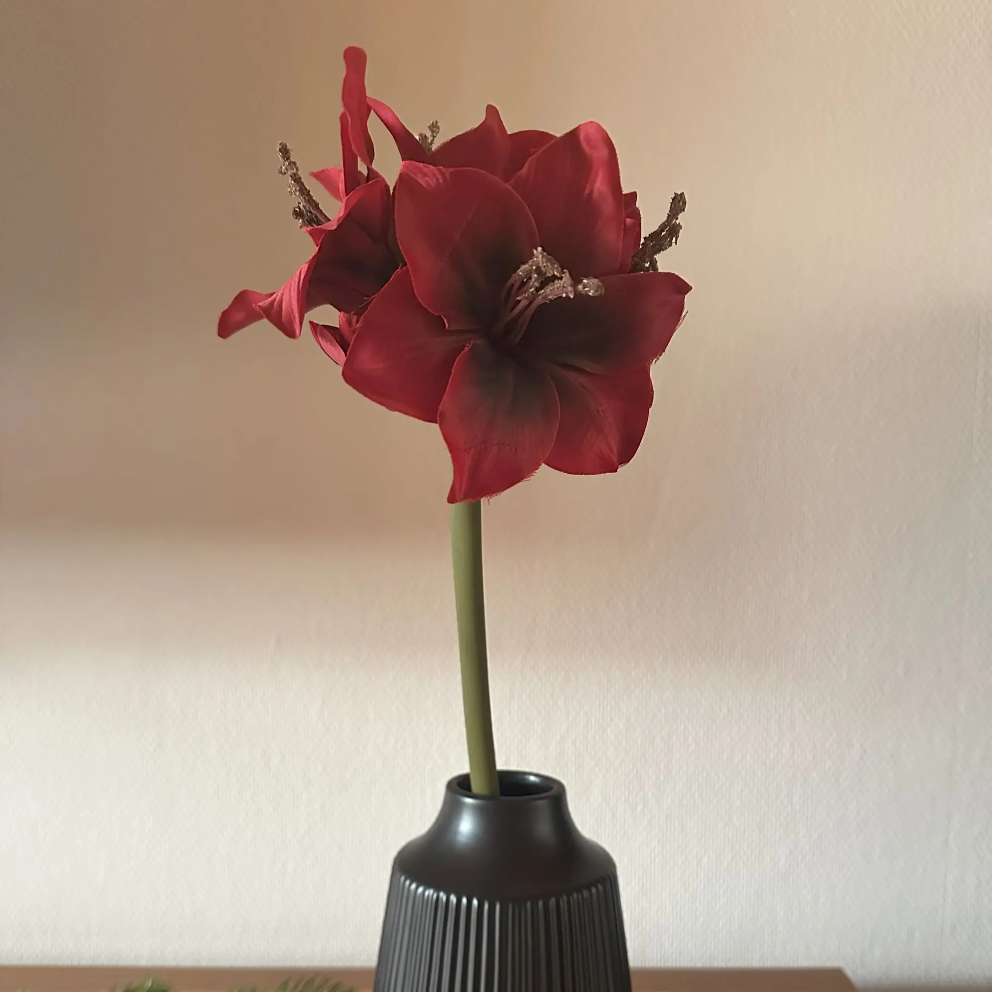 Kunstblume "Amaryllis", rot  im Frank Flechtwaren Online Shop kaufen