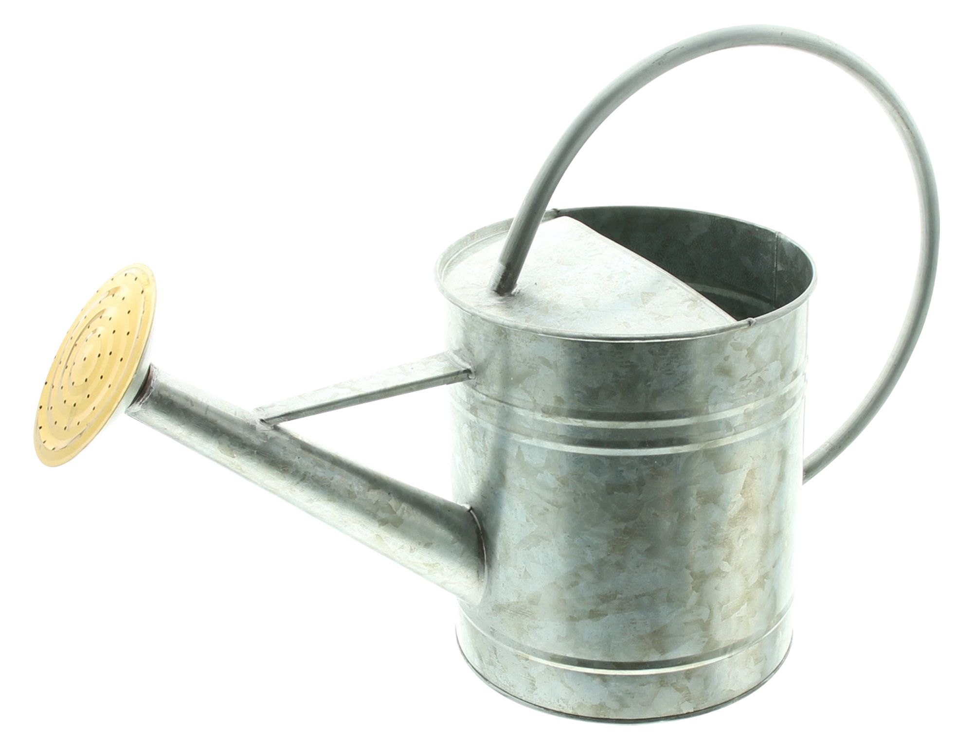 Dekogießkanne "Silver" im Frank Flechtwaren Online Shop für Gartendeko kaufen Dekogießkanne "Silver" im Frank Flechtwaren Online Shop für Gartendeko kaufen