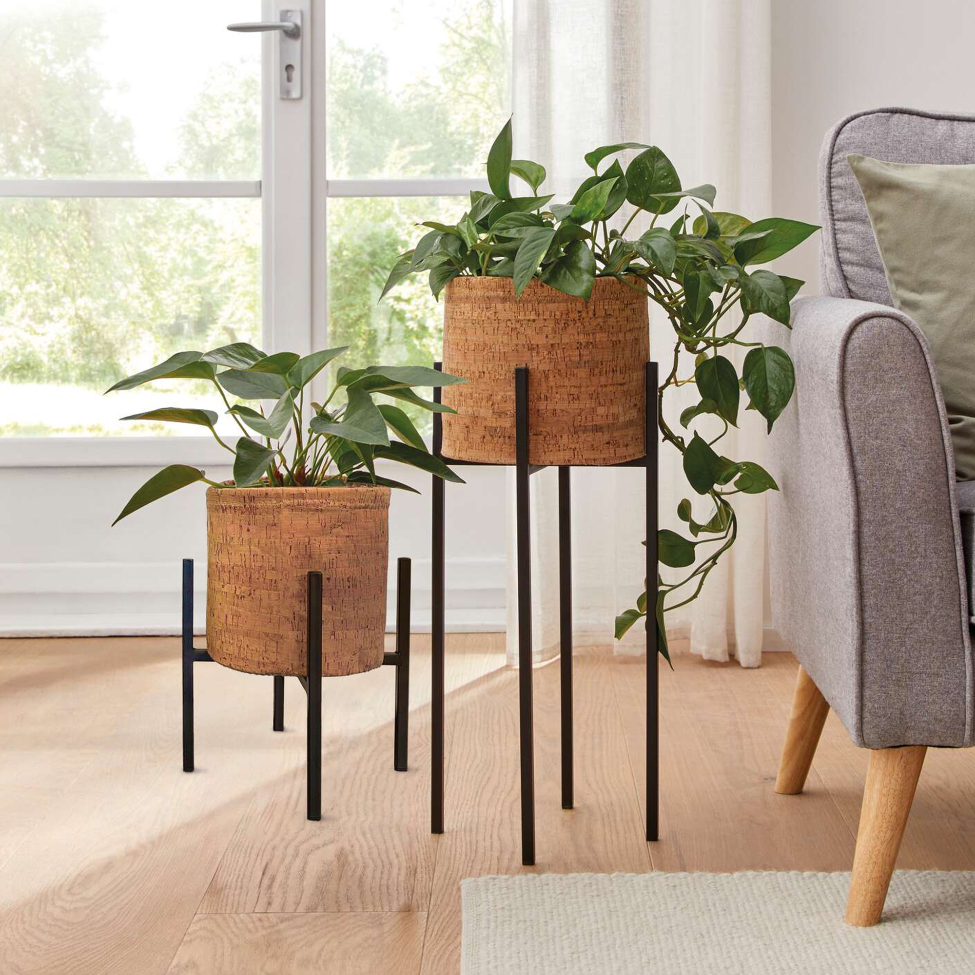 Übertopf "Kork", 2er Set  im Frank Flechtwaren Online Shop kaufen