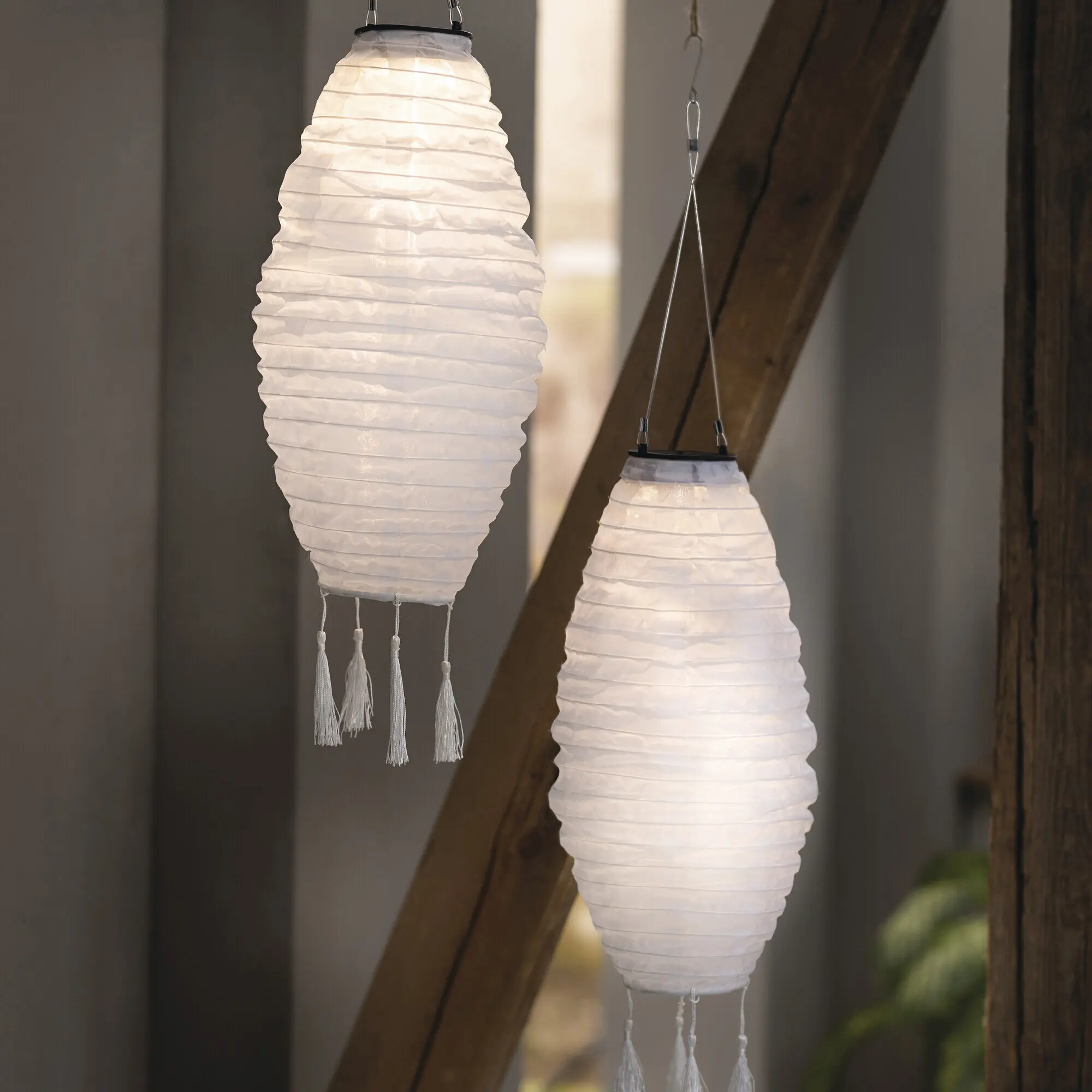 Solar-Lampion "White"  im Frank Flechtwaren Online Shop kaufen