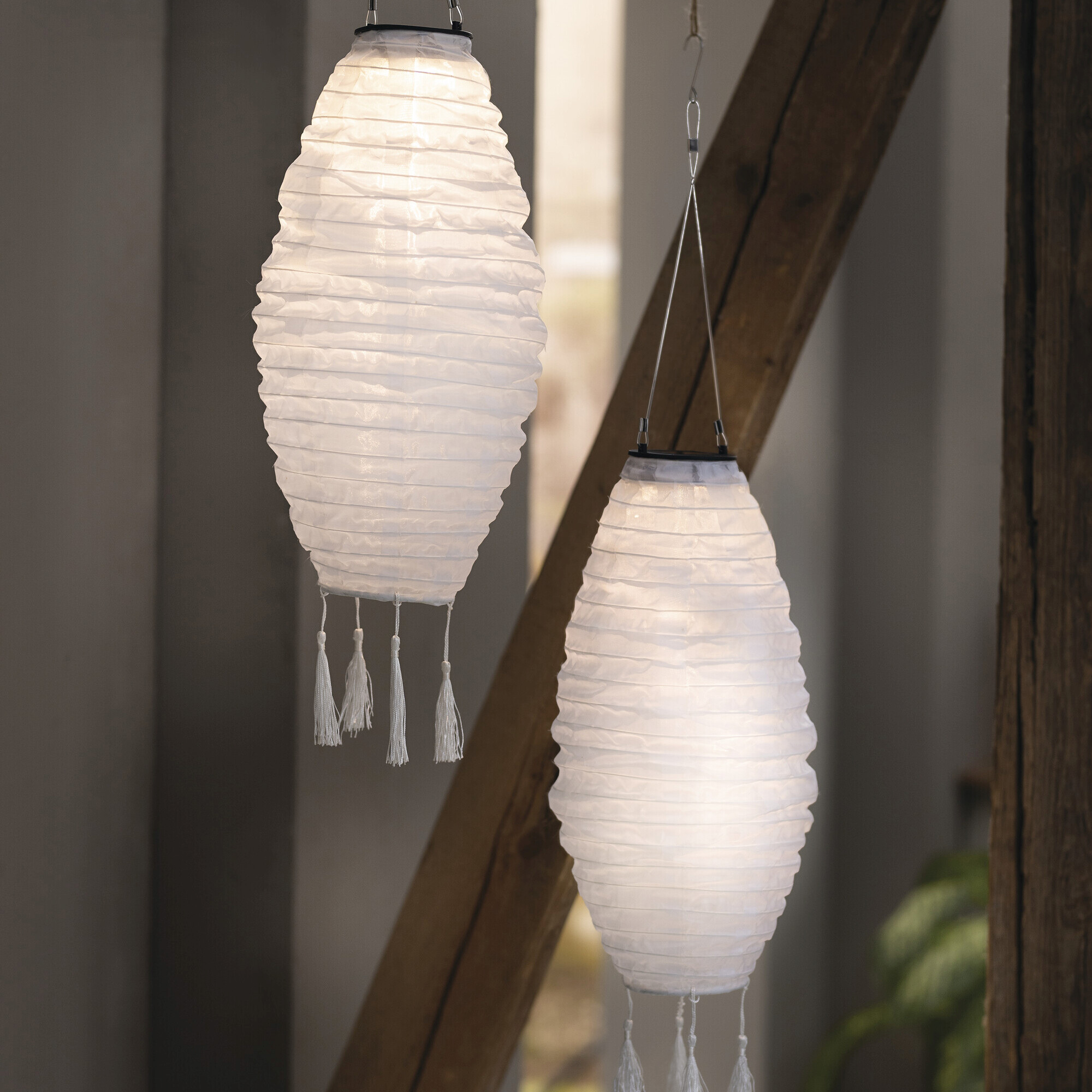 Solar-Lampion "White"  im Frank Flechtwaren Online Shop kaufen