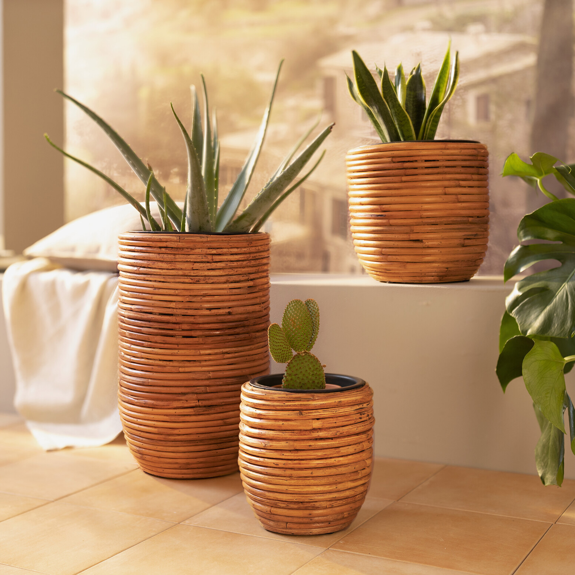 Übertopf "Rattan", 2er Set  im Frank Flechtwaren Online Shop kaufen