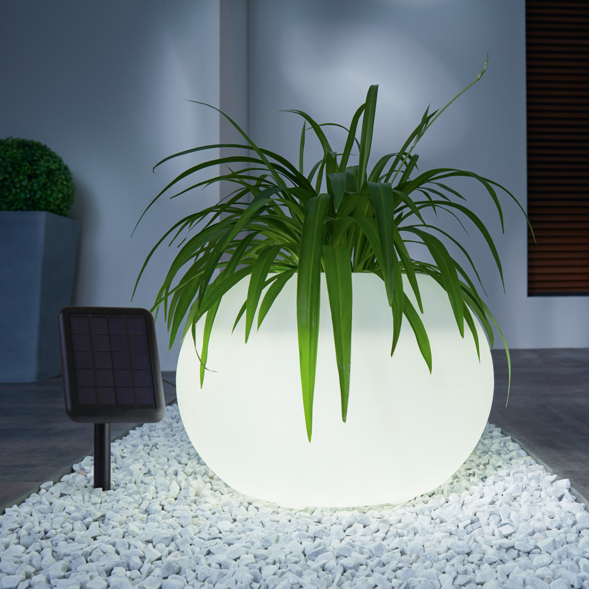 LED-Solarpflanzer "Lights"  im Frank Flechtwaren Online Shop kaufen