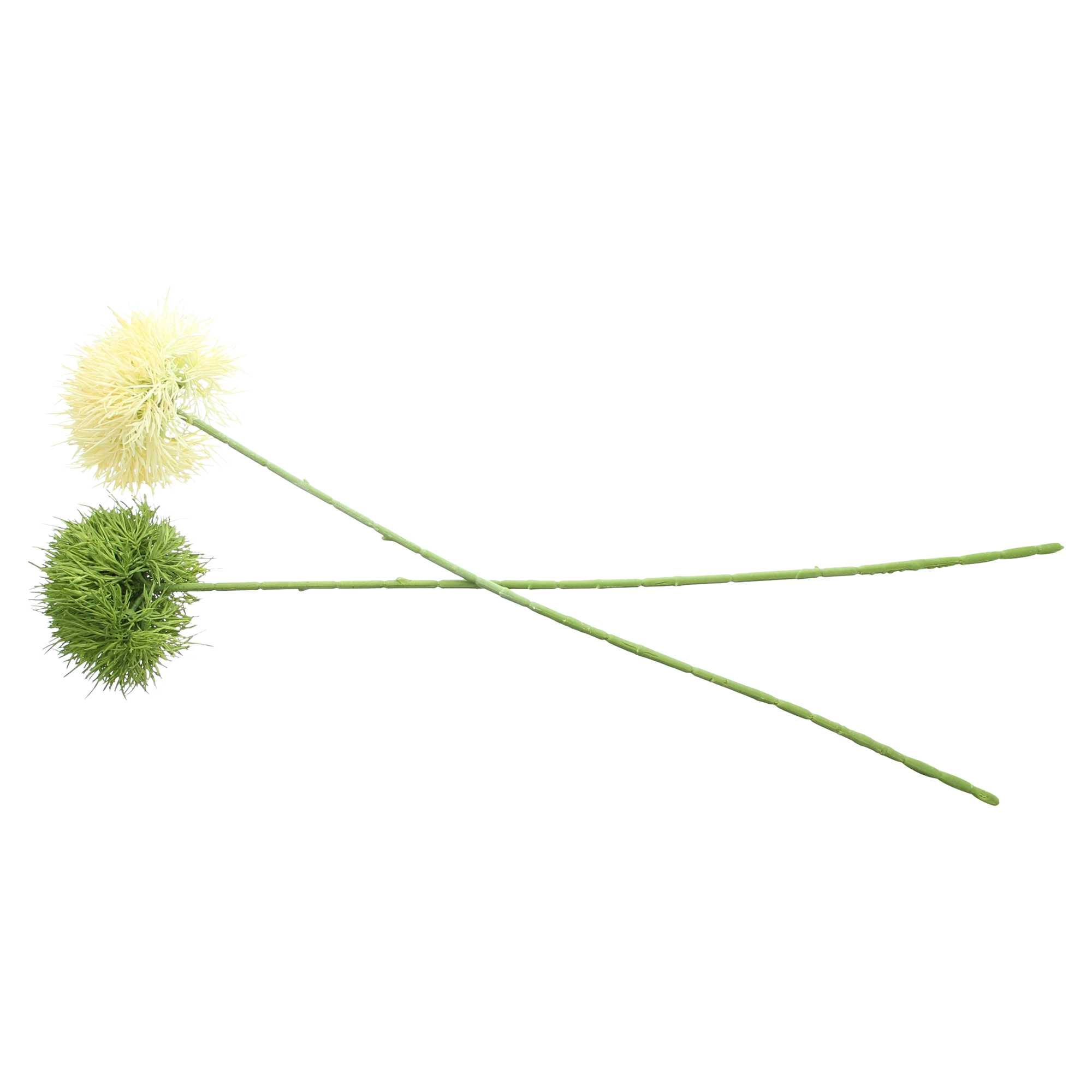 Pflanze "Kugelblume", 2er Set im Frank Flechtwaren Online Shop für Kunstpflanzen kaufen Pflanze "Kugelblume", 2er Set im Frank Flechtwaren Online Shop für Kunstpflanzen kaufen