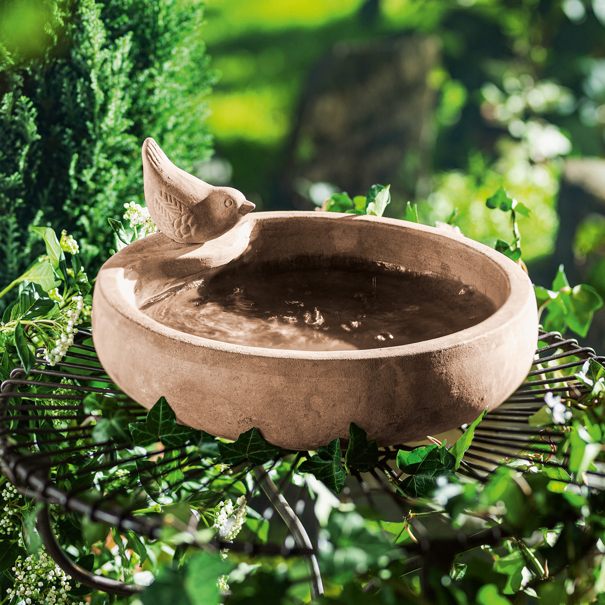 Vogeltränke "Terracotta"  im Frank Flechtwaren Online Shop kaufen