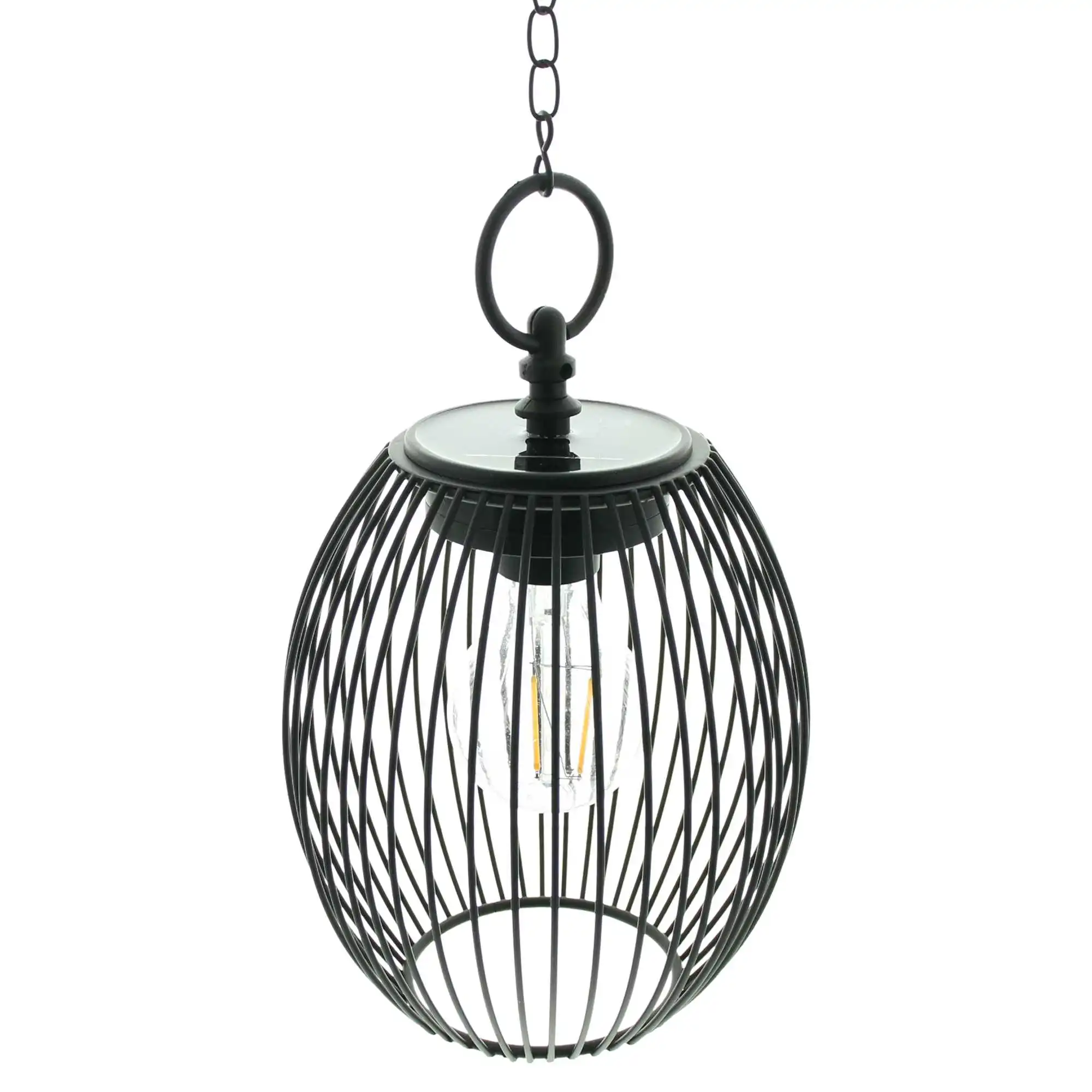 LED-Hänger "Solar" im Frank Flechtwaren Online Shop für Gartenbeleuchtung kaufen LED-Hänger "Solar" im Frank Flechtwaren Online Shop für Gartenbeleuchtung kaufen