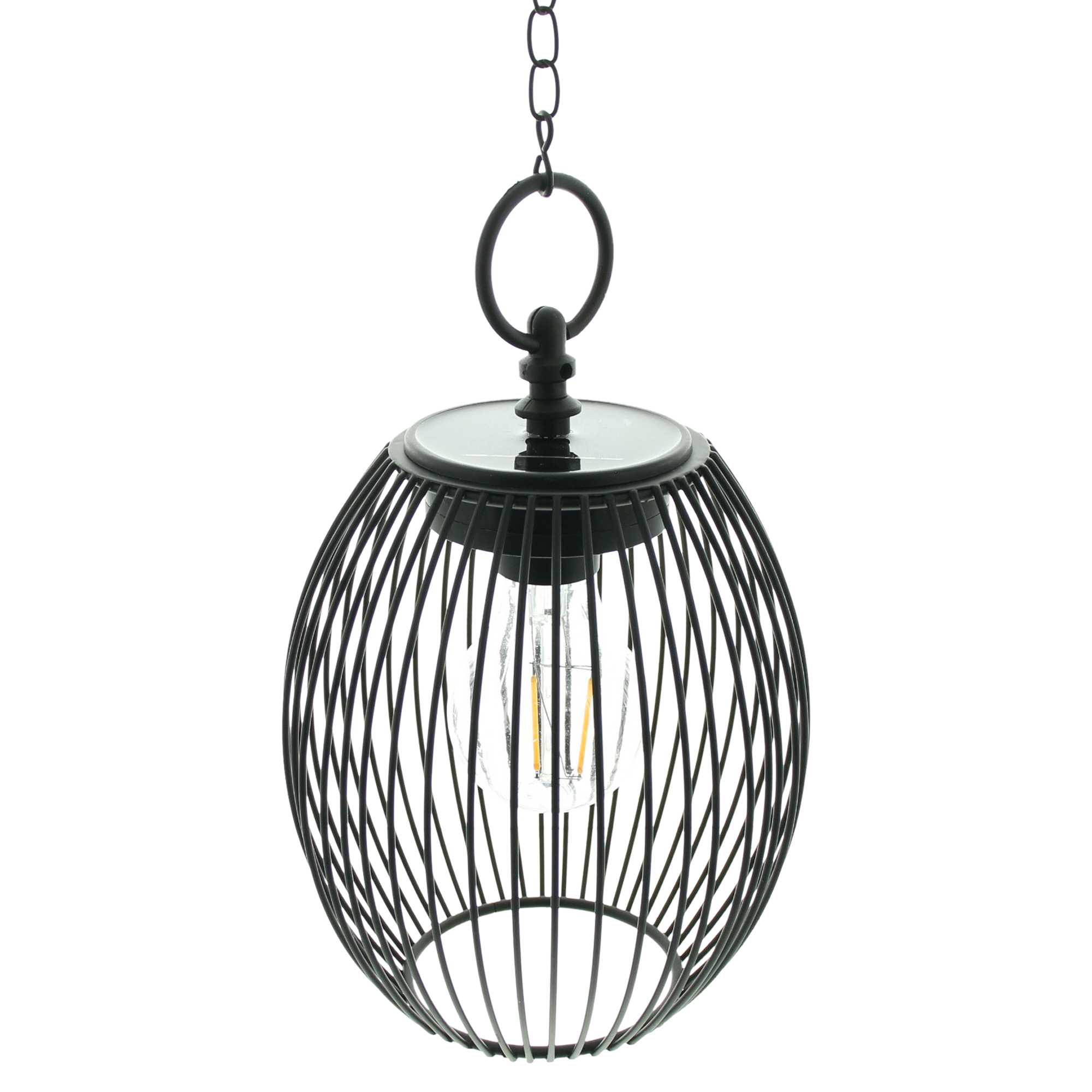 LED-Hänger "Solar" im Frank Flechtwaren Online Shop für Gartenbeleuchtung kaufen LED-Hänger "Solar" im Frank Flechtwaren Online Shop für Gartenbeleuchtung kaufen