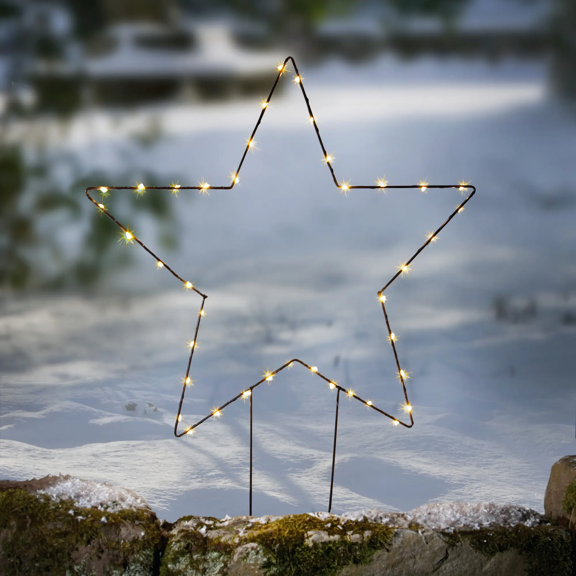 LED-Gartenstecker "Stern"  im Frank Flechtwaren Online Shop kaufen
