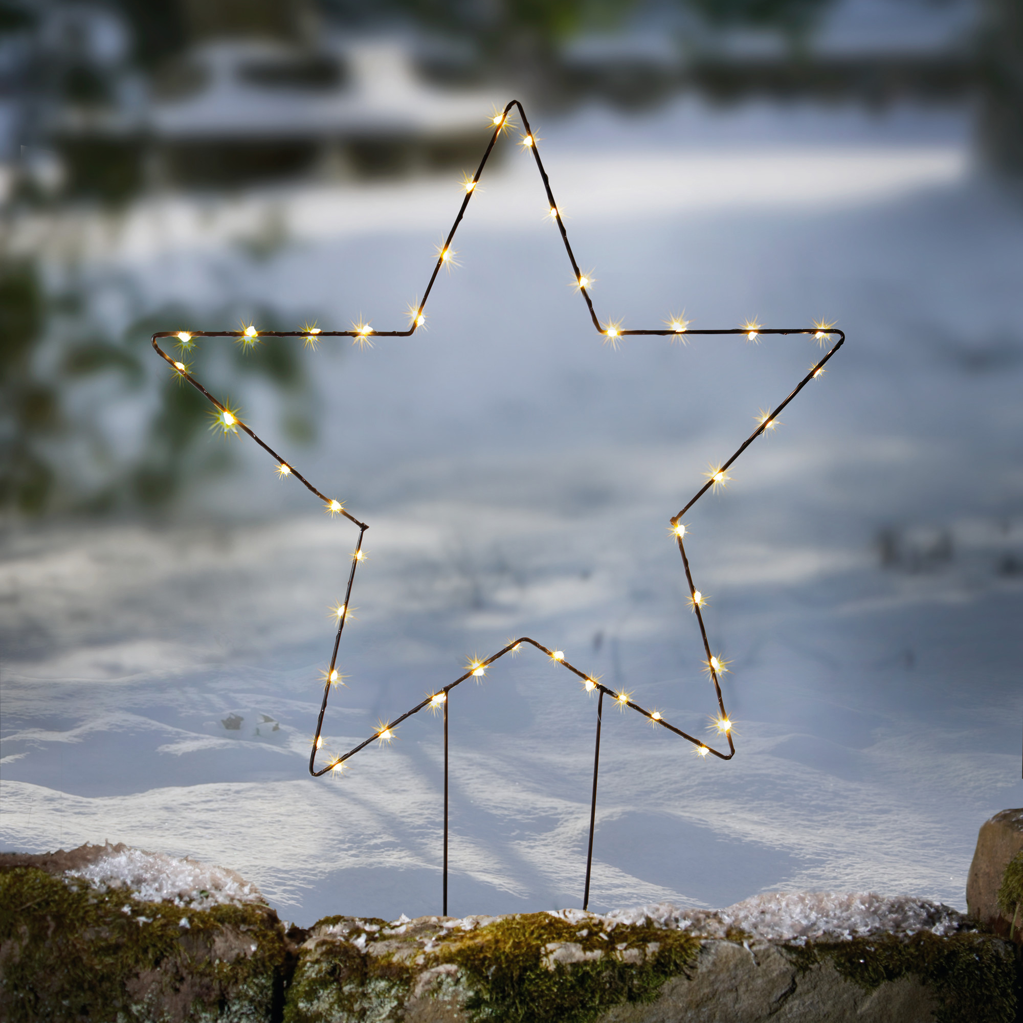 LED-Gartenstecker "Stern" im Frank Flechtwaren Online Shop für Weihnachten kaufen LED-Gartenstecker "Stern" im Frank Flechtwaren Online Shop für Weihnachten kaufen