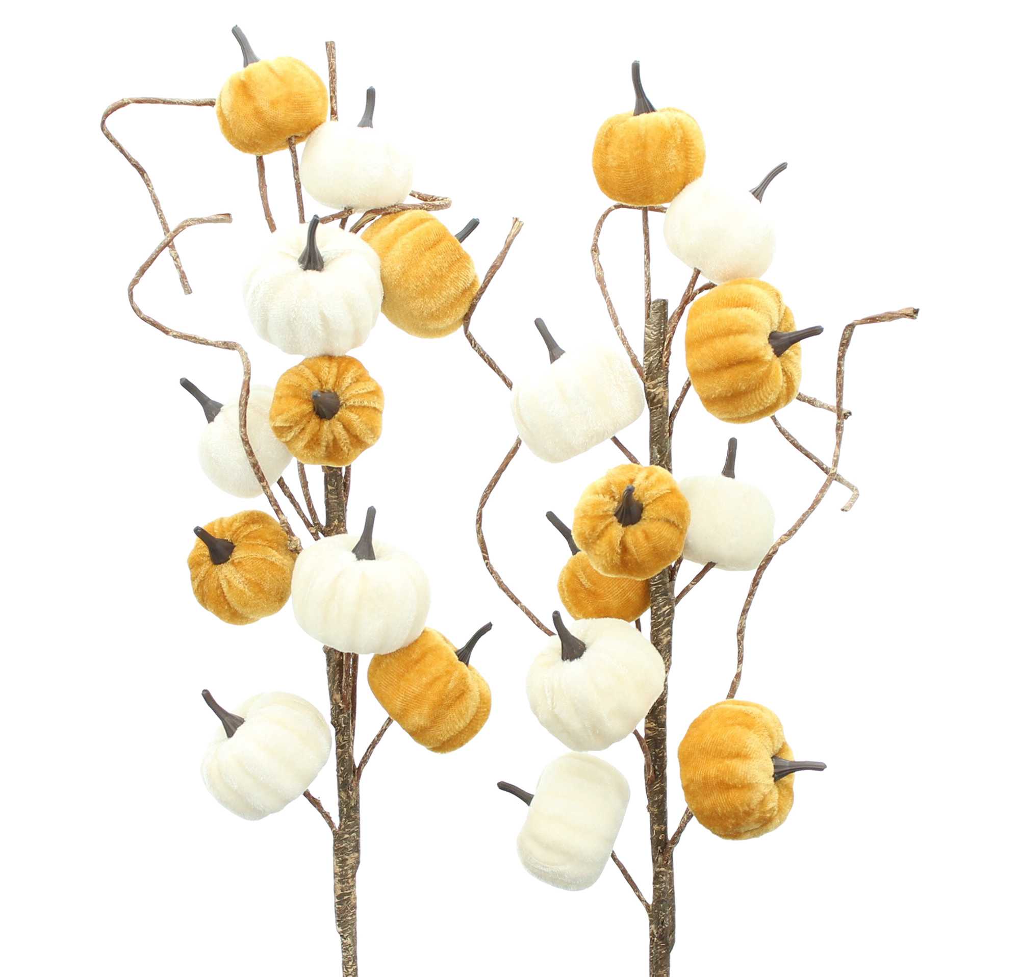 Zweig "Kürbisse", 2er Set im Frank Flechtwaren Online Shop für Herbst kaufen Zweig "Kürbisse", 2er Set im Frank Flechtwaren Online Shop für Herbst kaufen