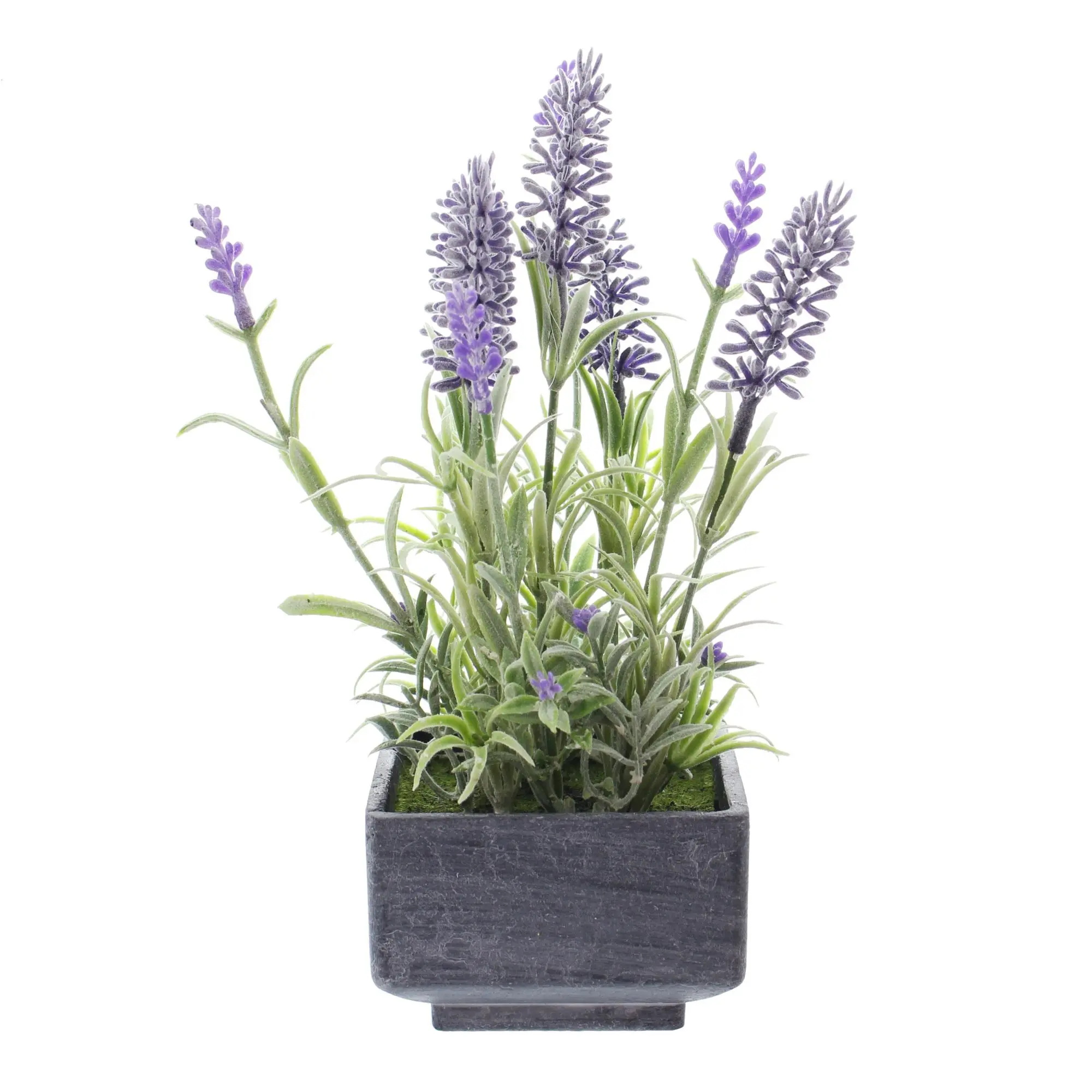 Lavendel im Topf  im Frank Flechtwaren Online Shop für Kunstpflanzen kaufen