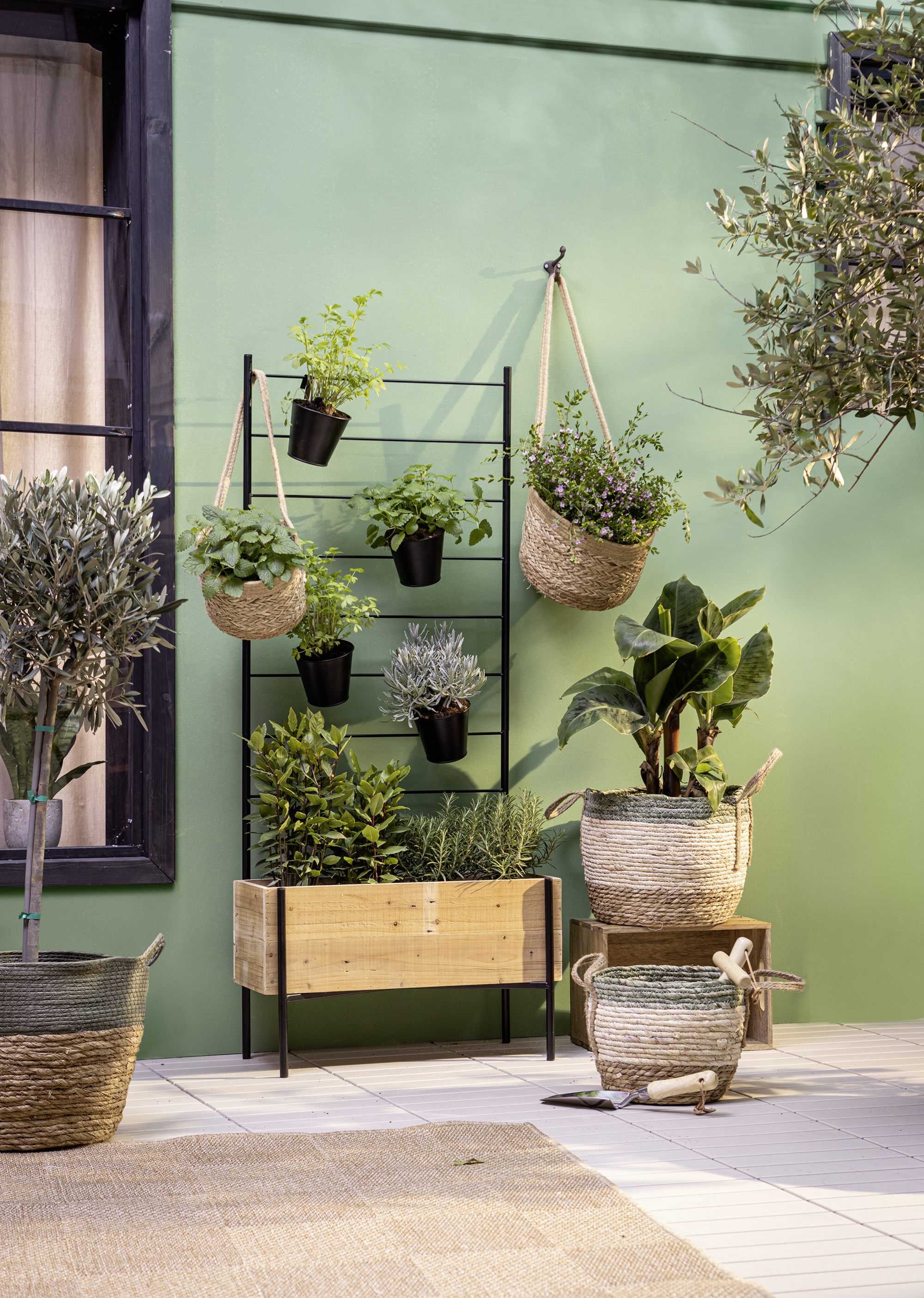 Acheter Lot de 2 paniers suspendus "zostère" dans la boutique en ligne de Frank Flechtwaren pour Jardinières Acheter Lot de 2 paniers suspendus "zostère" dans la boutique en ligne de Frank Flechtwaren pour Jardinières