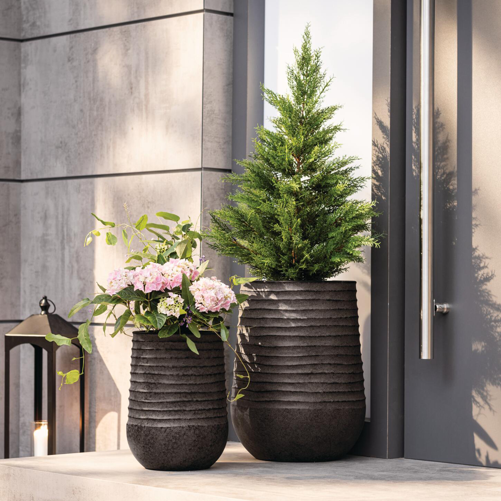 Kunstpflanze "Konifere"  im Frank Flechtwaren Online Shop für Kunstpflanzen kaufen