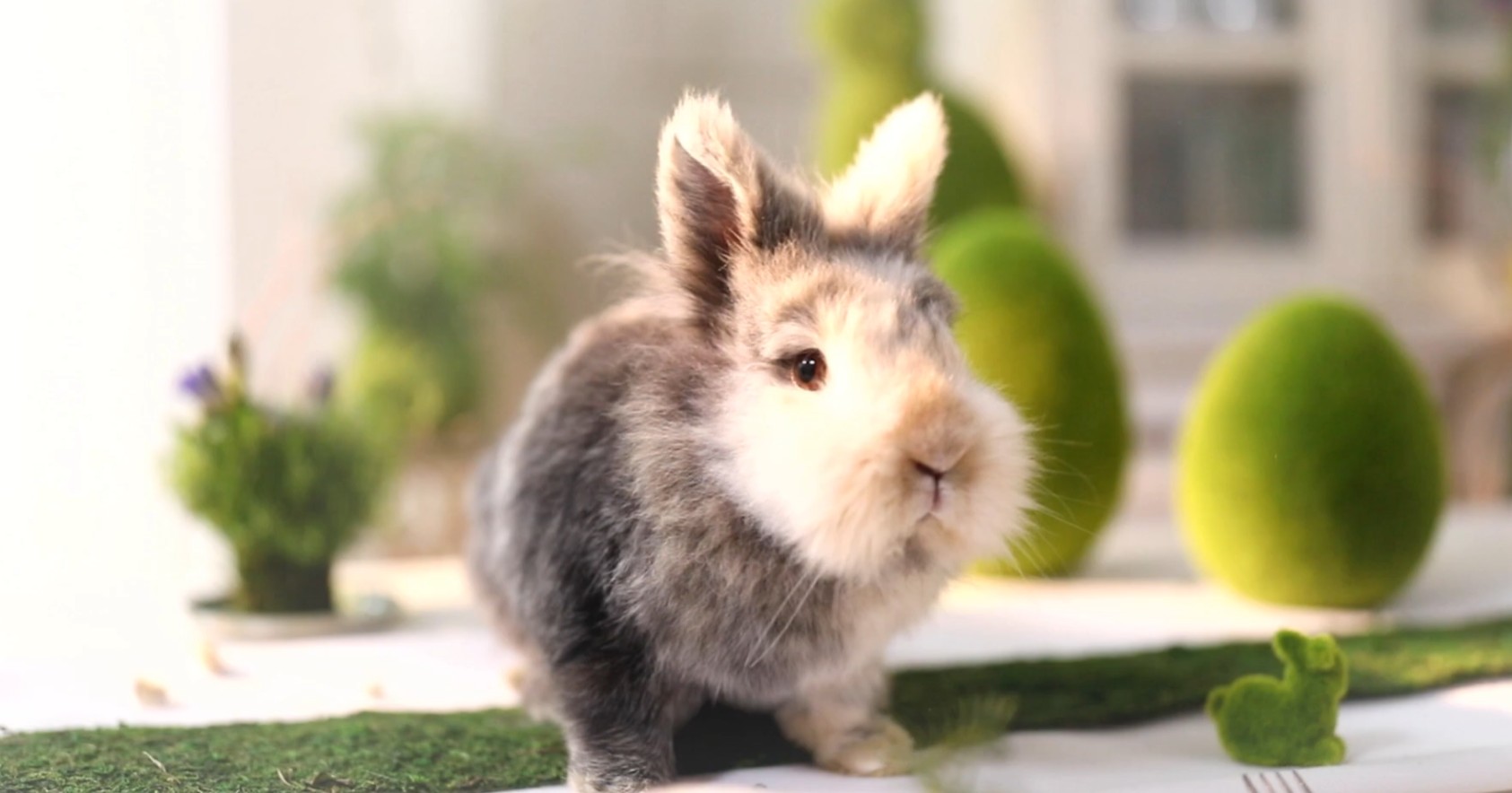 Wir wünschen frohe Ostern