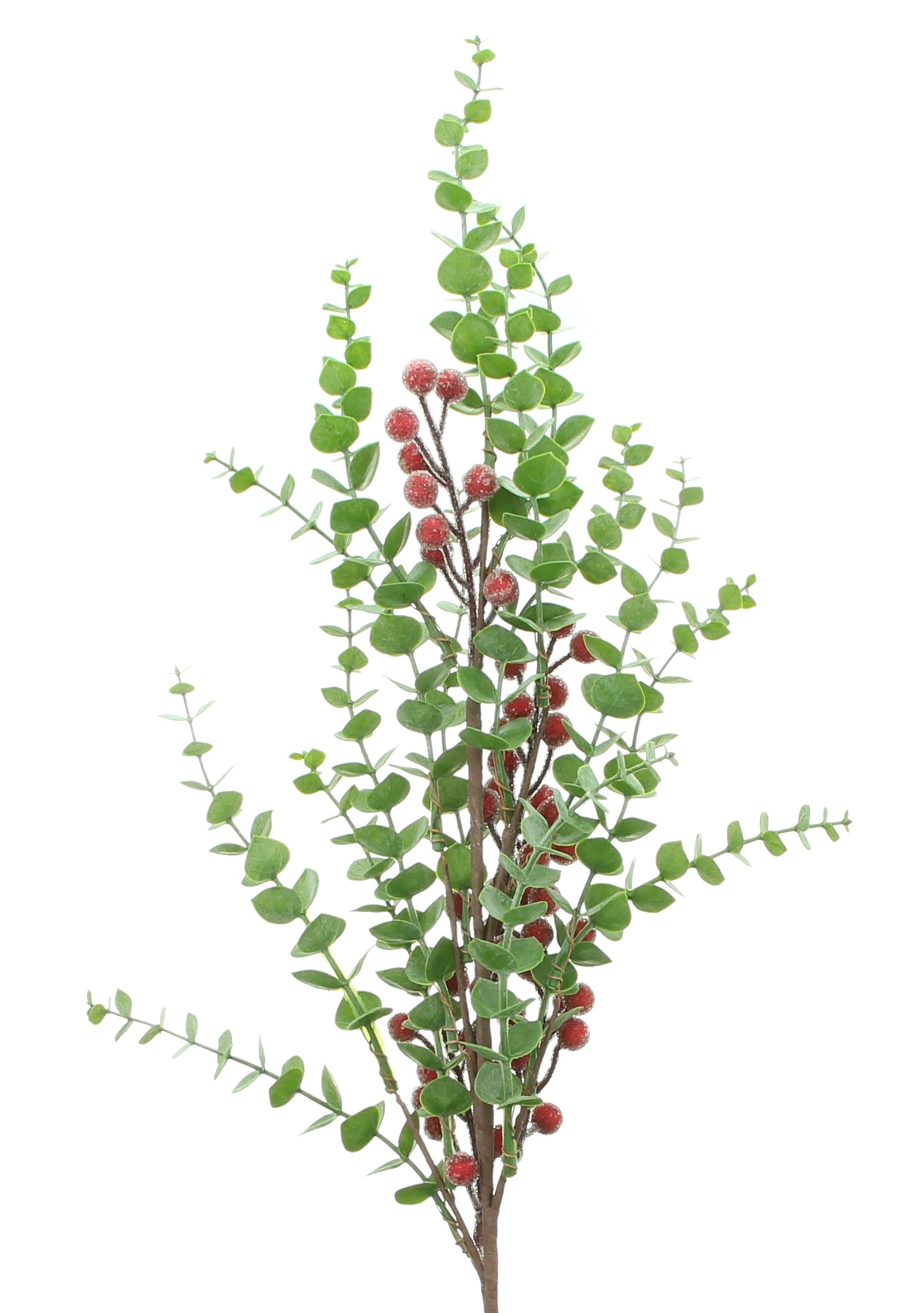Zweig "Frostbeeren" im Frank Flechtwaren Online Shop für Weihnachten kaufen Zweig "Frostbeeren" im Frank Flechtwaren Online Shop für Weihnachten kaufen