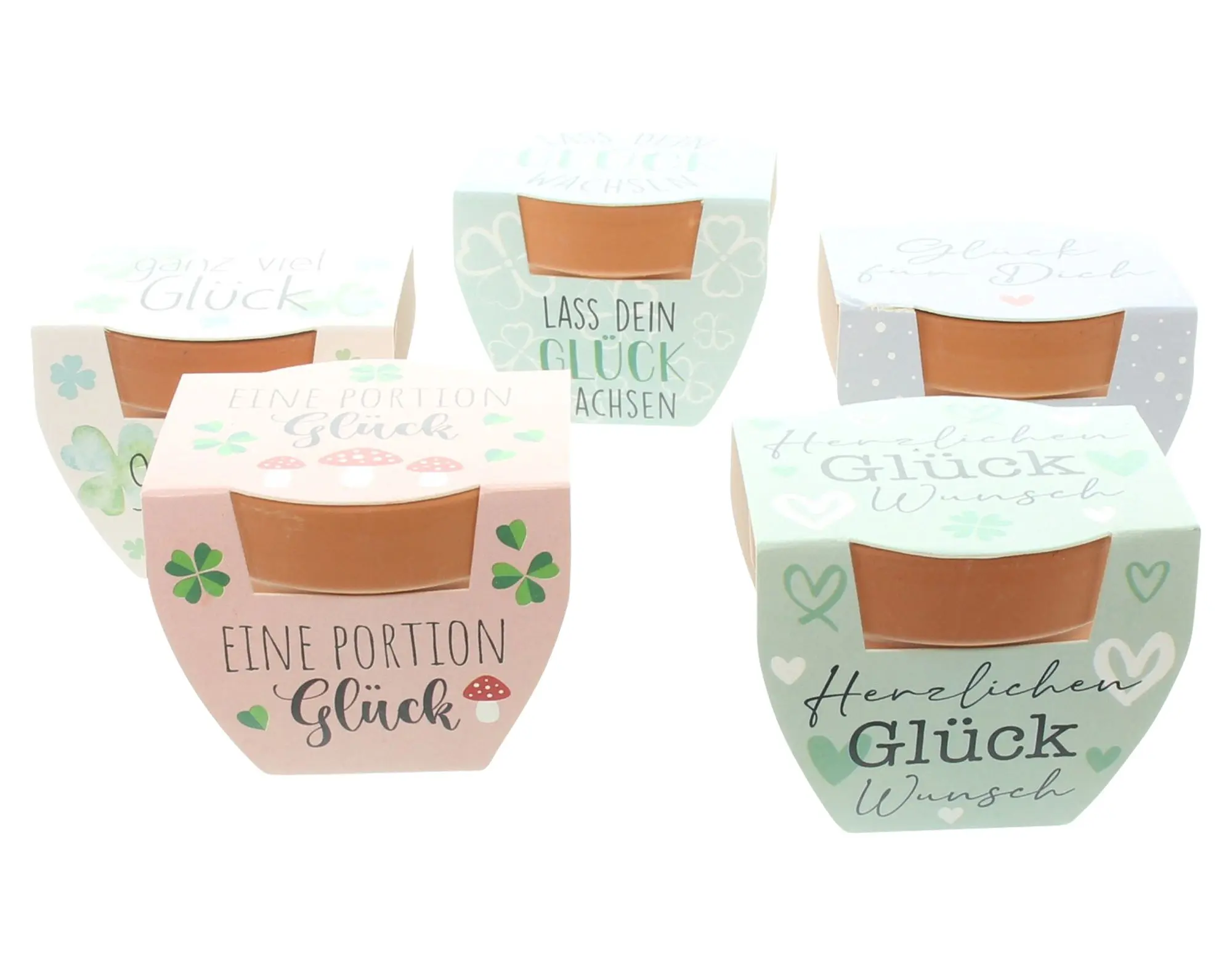 Minitopf "Glücksklee", 2er Set  im Frank Flechtwaren Online Shop für Deko kaufen