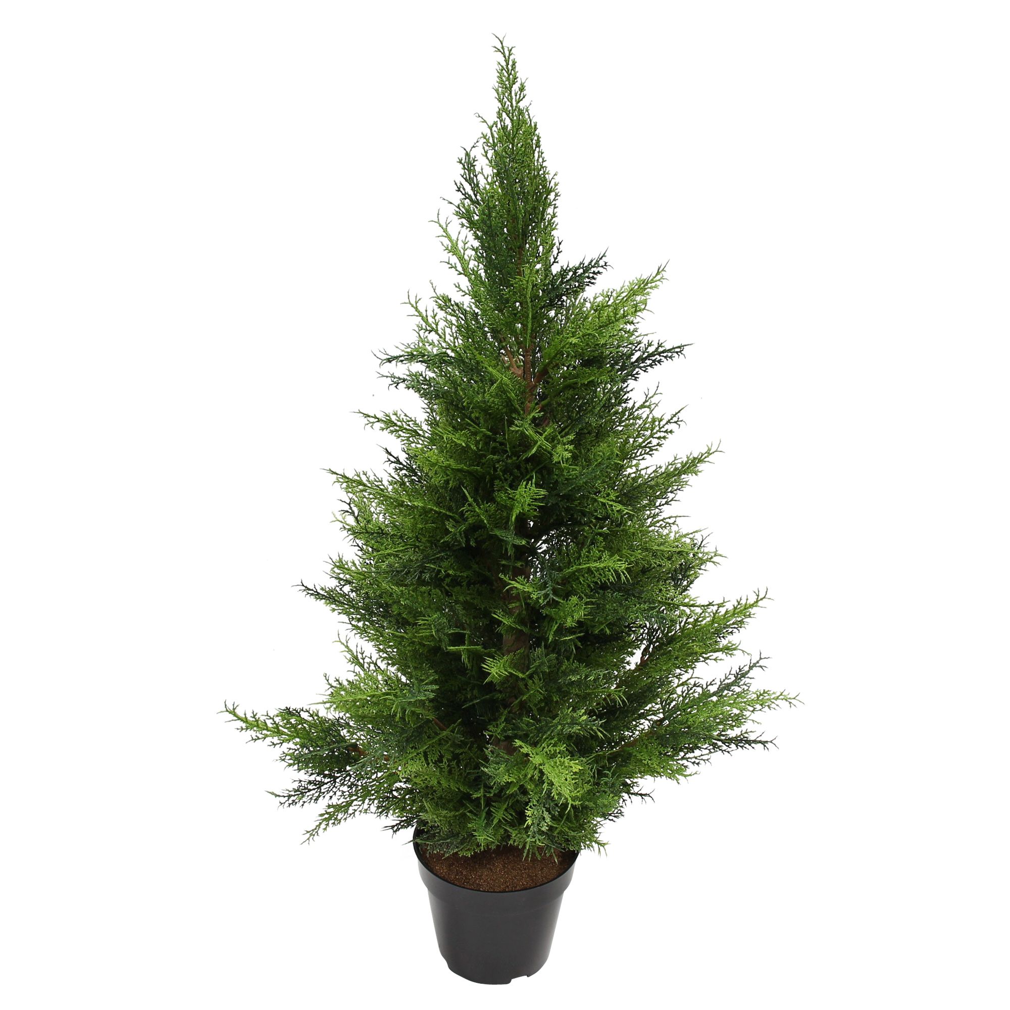 Kunstpflanze "Konifere"  im Frank Flechtwaren Online Shop für Kunstpflanzen kaufen