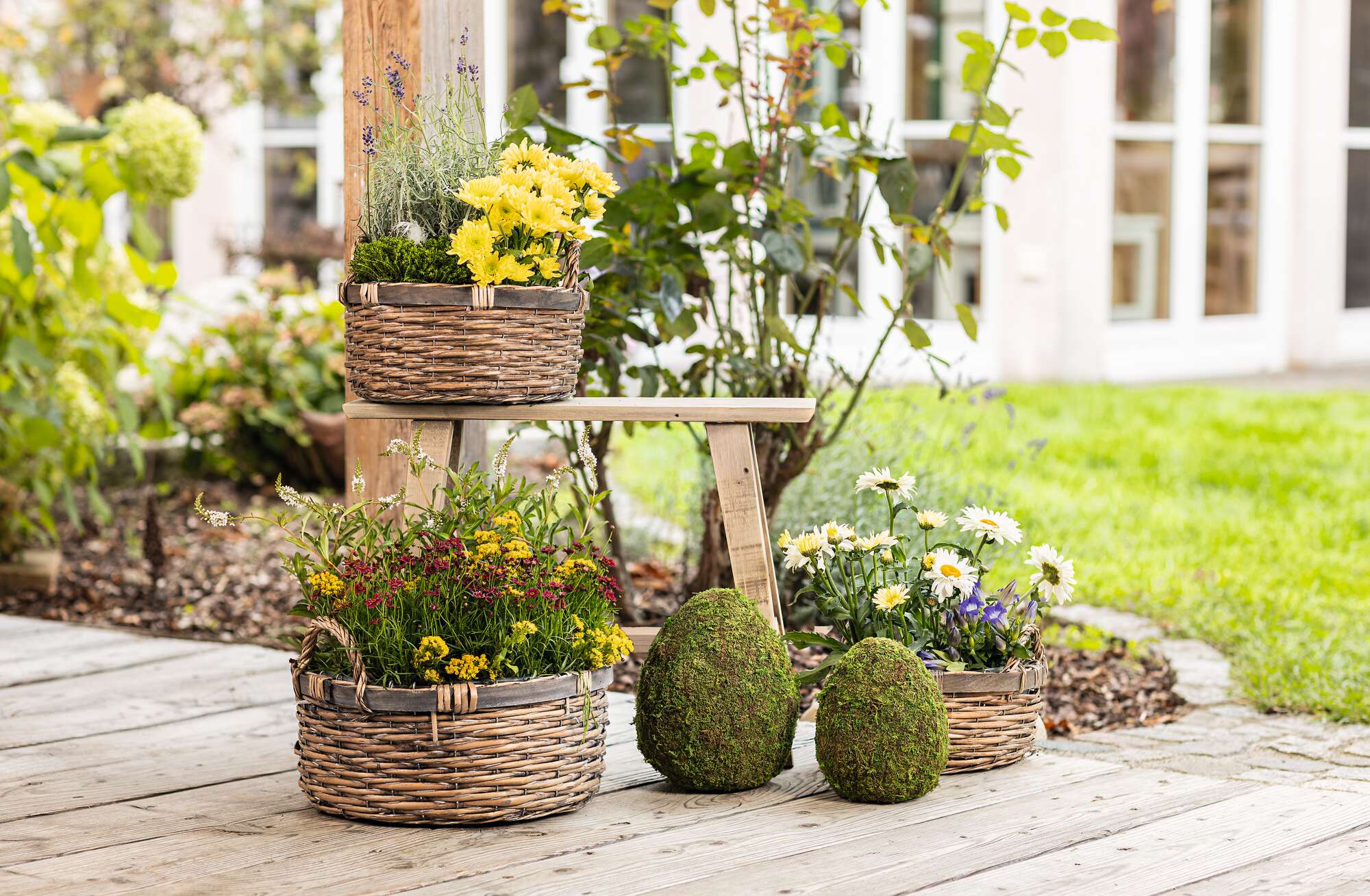 Deko-Ei "Moos", 2er Set  im Frank Flechtwaren Online Shop für Ostereier kaufen