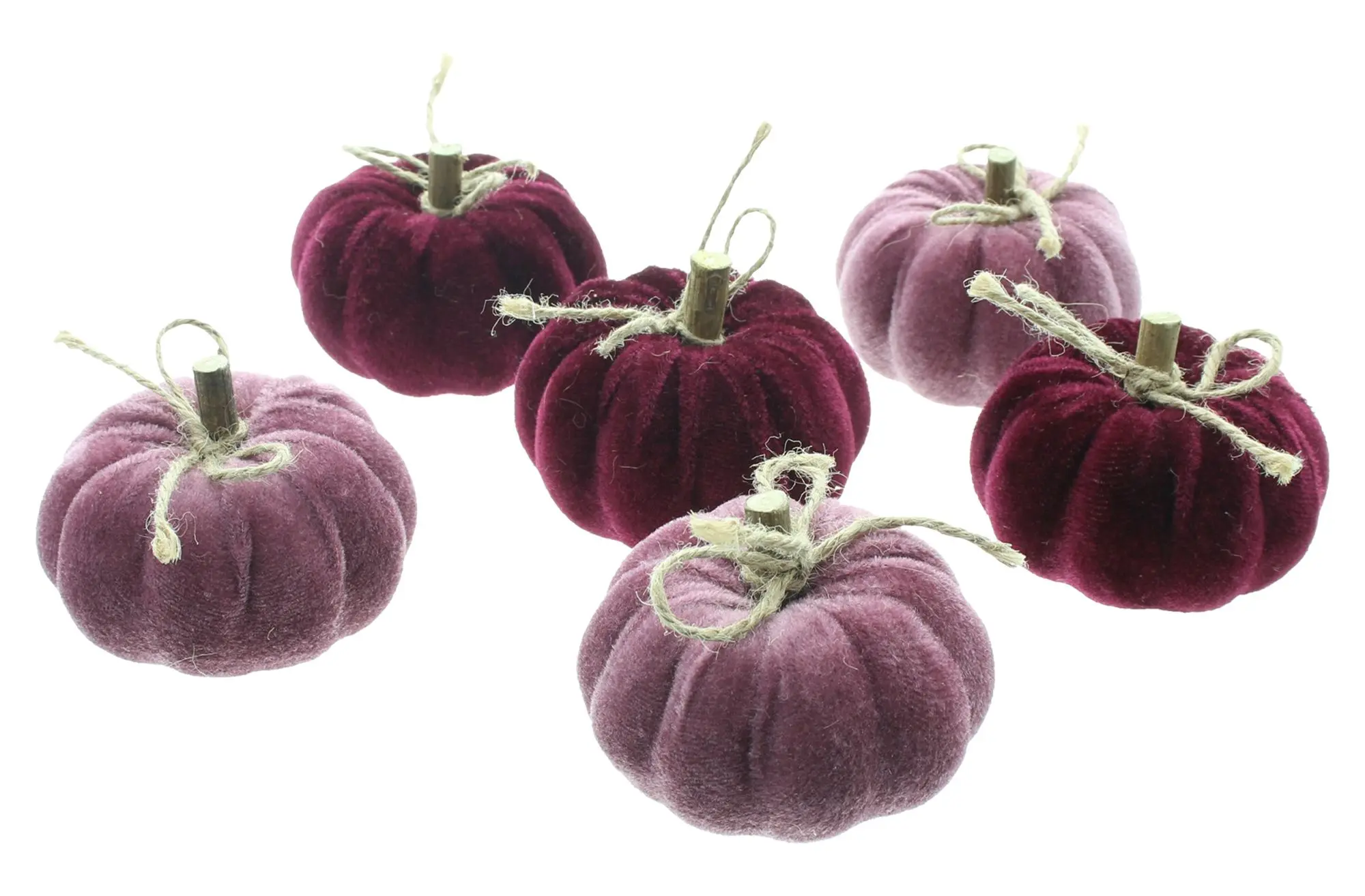 Kürbis "Purple Mix", 6er Set  im Frank Flechtwaren Online Shop für Dekokürbisse kaufen