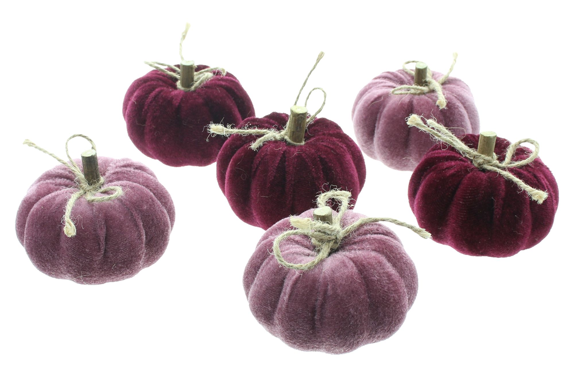 Kürbis "Purple Mix", 6er Set  im Frank Flechtwaren Online Shop für Dekokürbisse kaufen