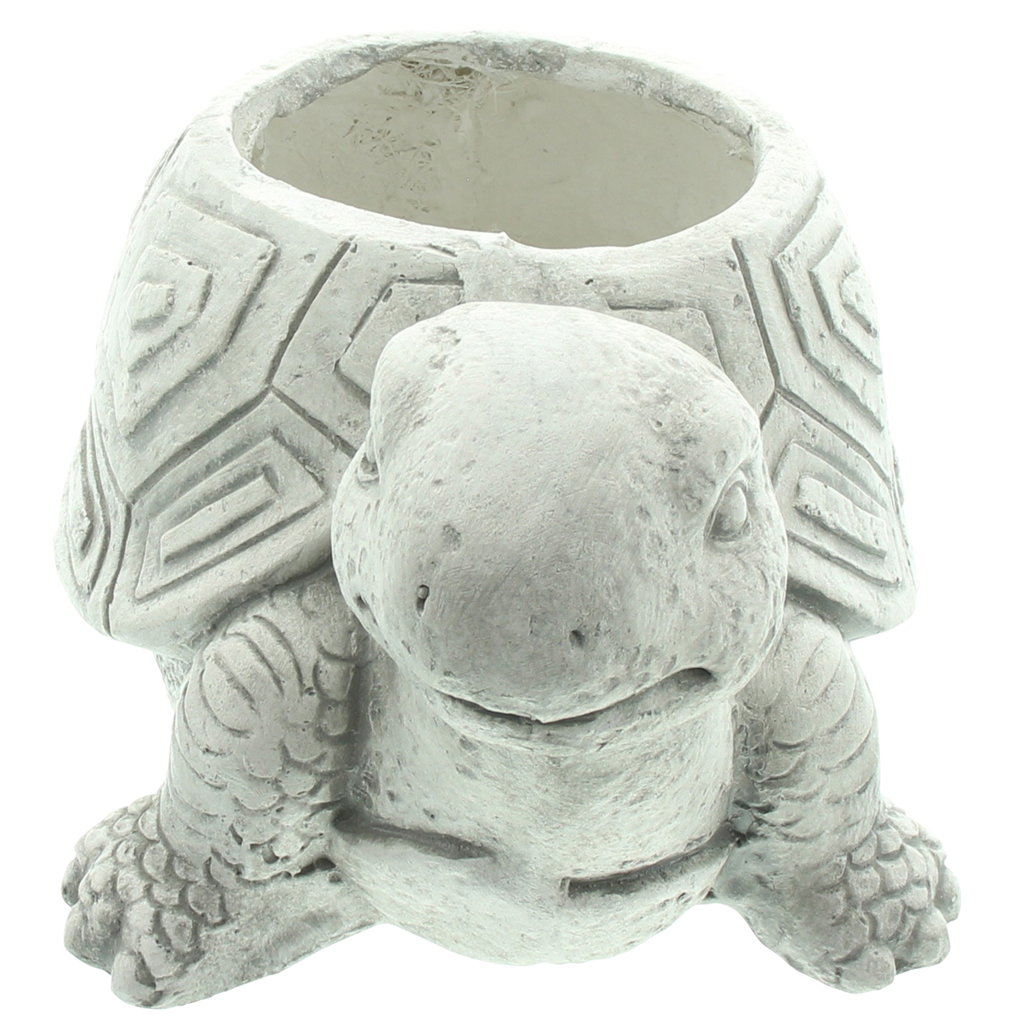 Pflanzer "Schildkröte"  im Frank Flechtwaren Online Shop für Pflanztöpfe kaufen